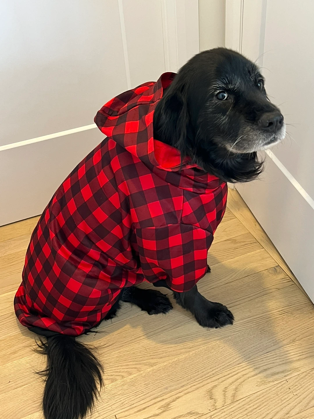 Red Plaid Dog Hoodie 2xl - photo 3