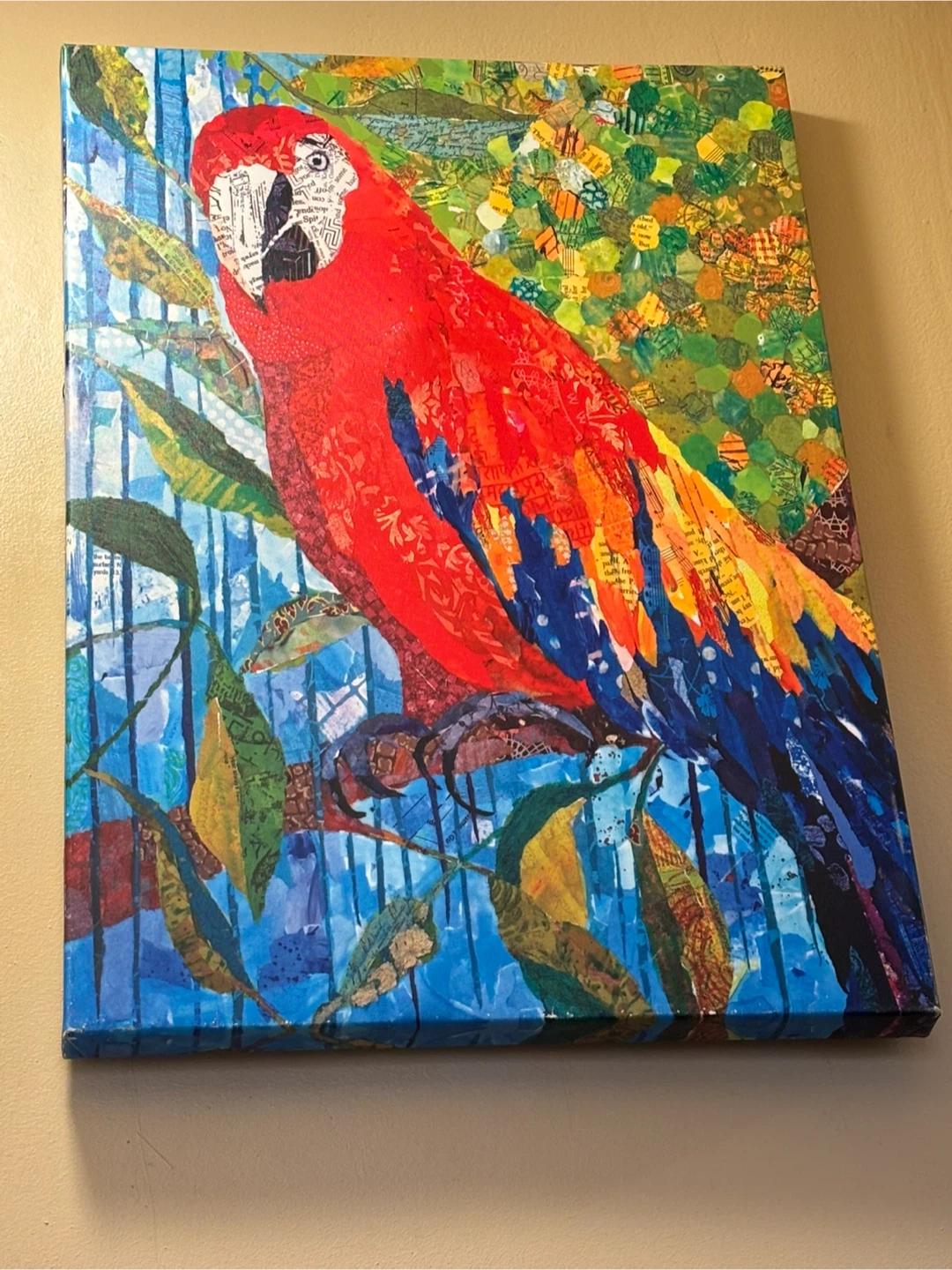 Collage Art "Scarlet Macaw" Wall Art