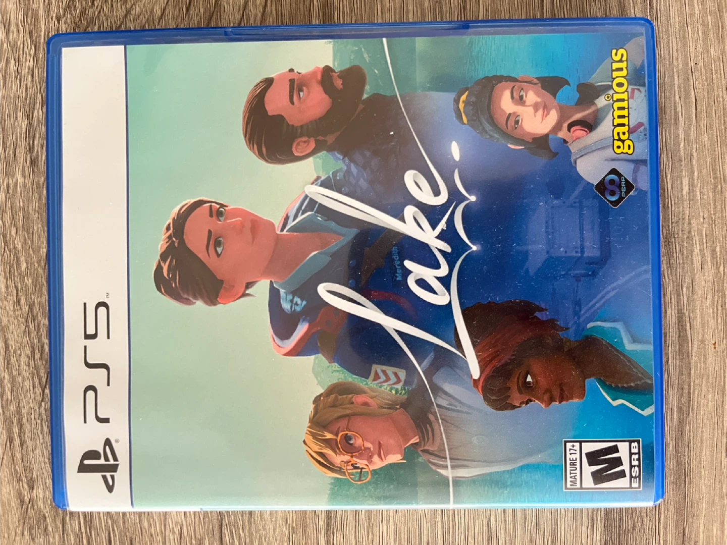 PS5 Game - Lake