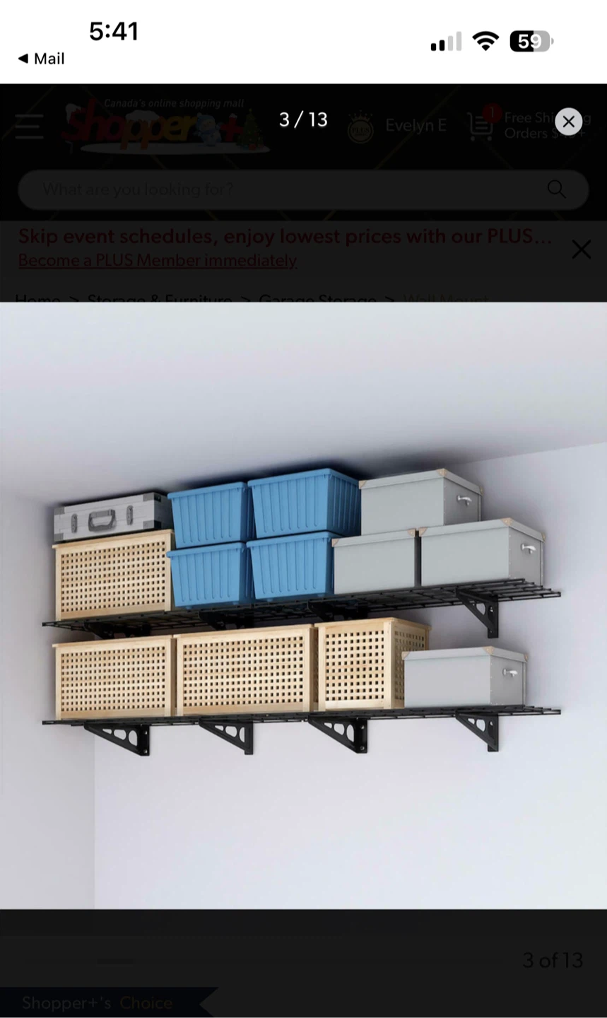 LIVINGbasics Wall Mounted Storage Shelves