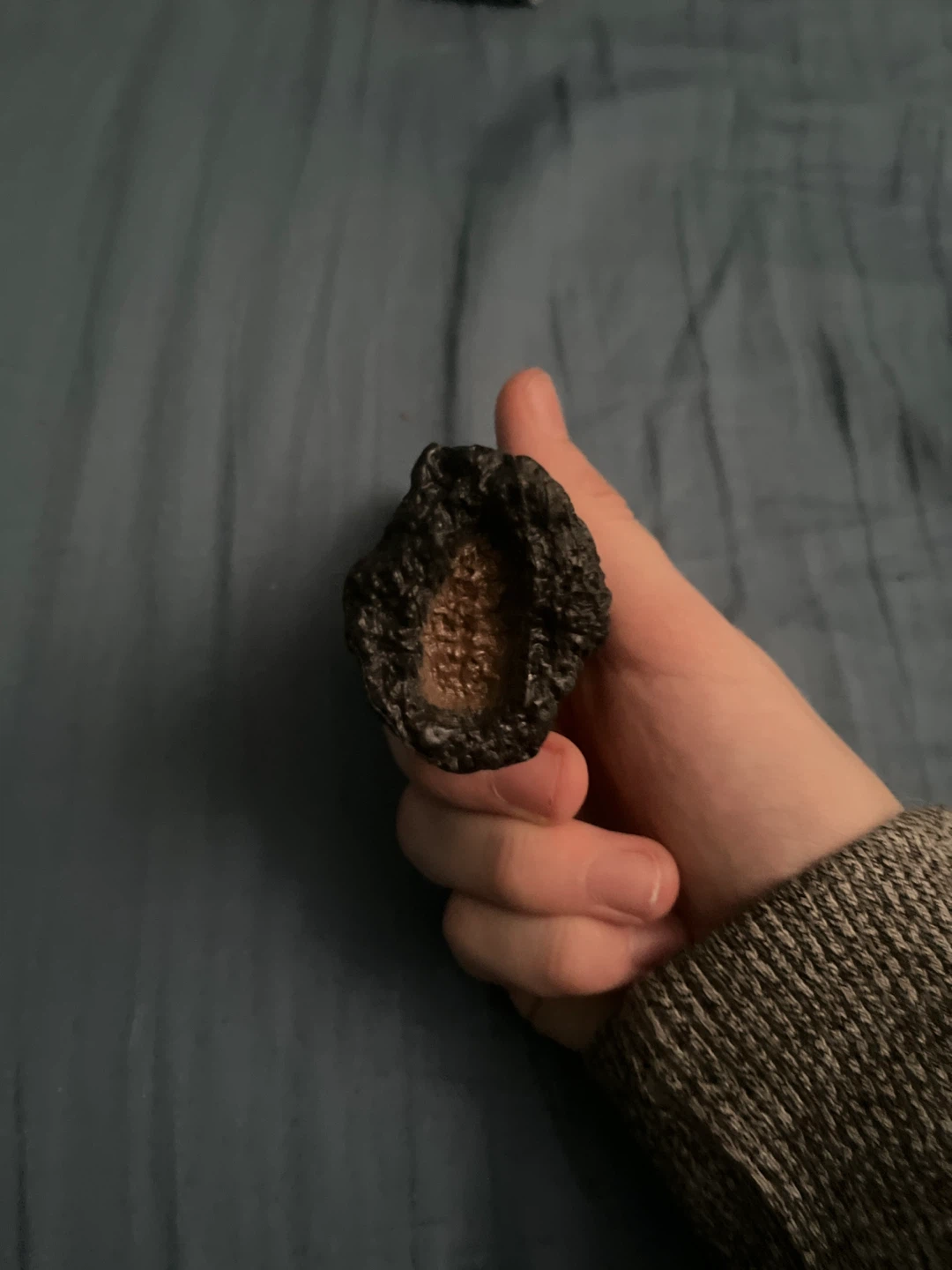 Dark Brown Horn - photo 2