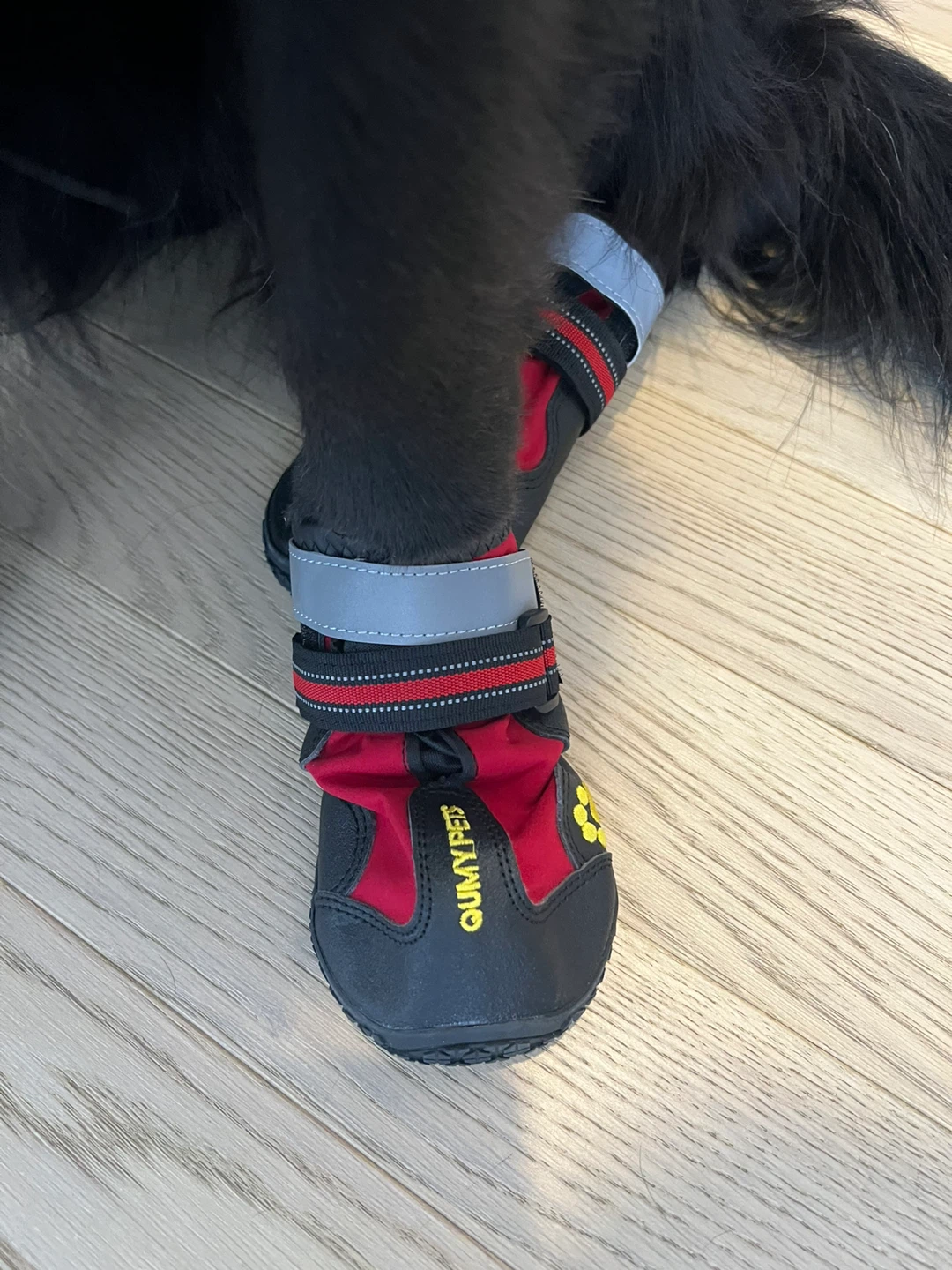 QUMYPETS Dog Boots Size 7 - photo 2