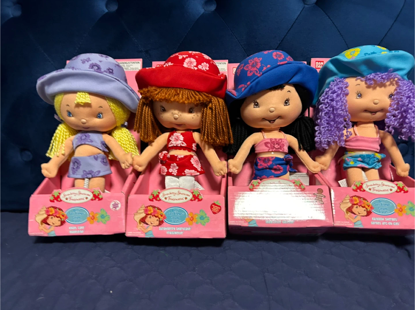 Strawberry Shortcake Friends Dolls (Set of 4)