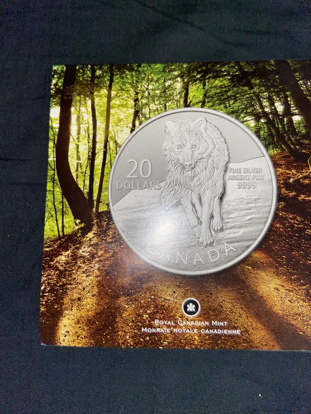 Royal Canadian Mint 2013 Fine Silver $20 Coins (Set of 3) - photo 5