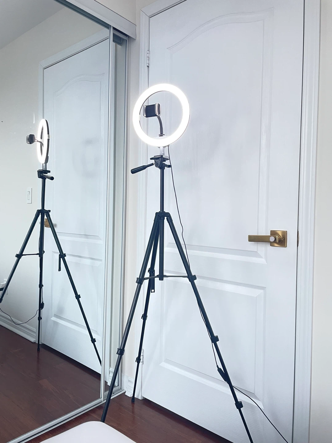 Ring Light with Tripod Stand and Phone Holder