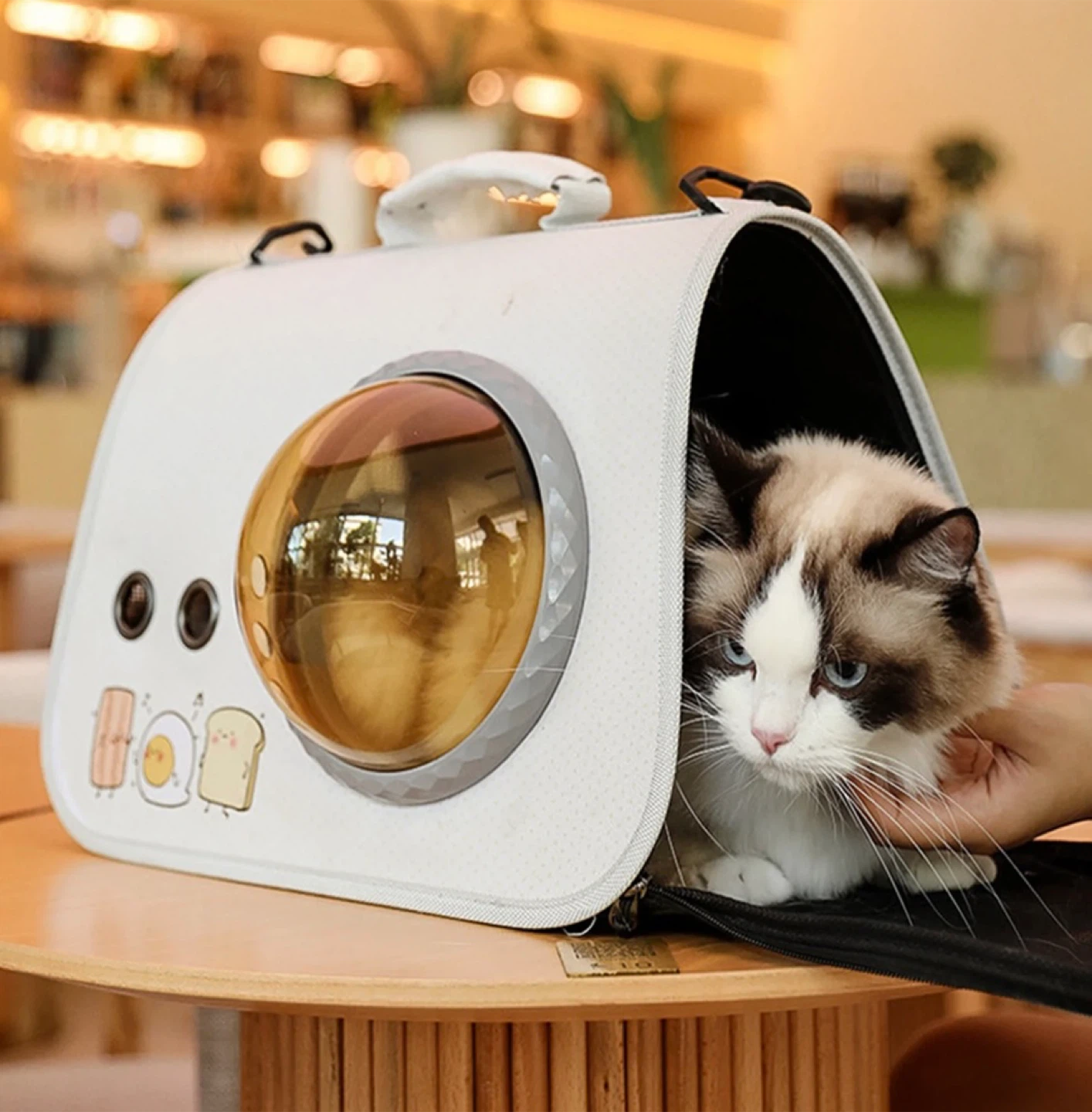 Pet Carrier Bag with Fan and Bubble Window for Pets Upto 16lbs - photo 2