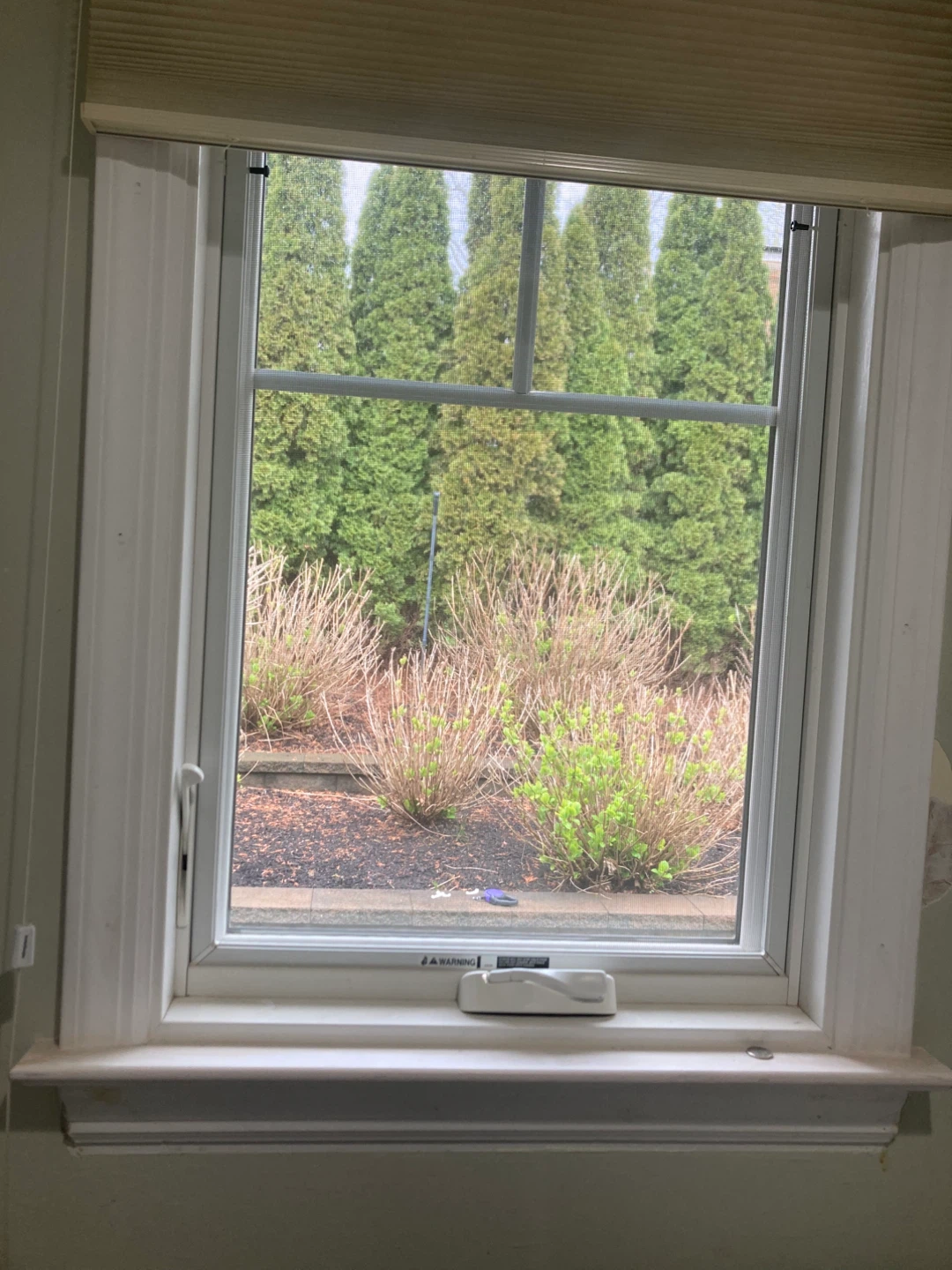 Double Hung Window - photo 3
