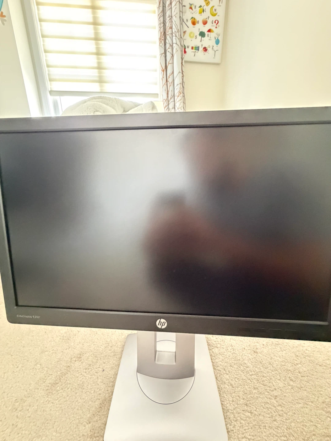 HP E202 EliteDisplay 20" LCD Monitor