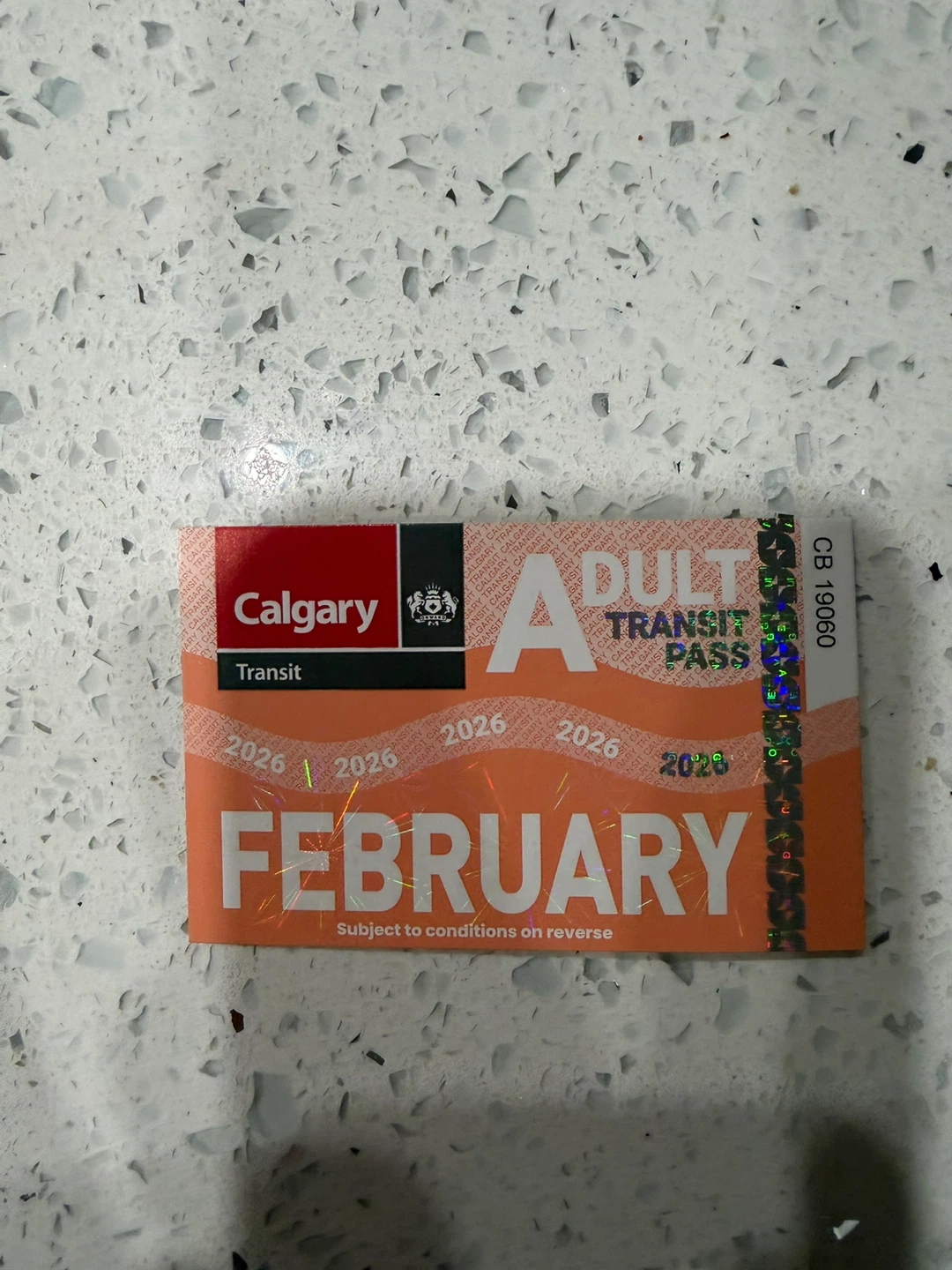 Calgary Transit Adult Pass - February 2026