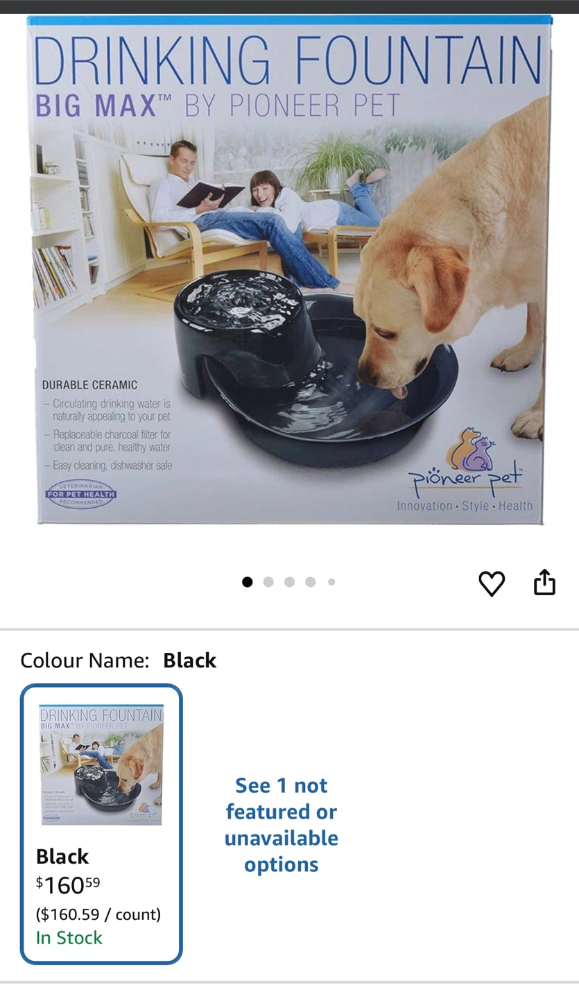 Pioneer Pet Big Max Drinking Fountain - Black