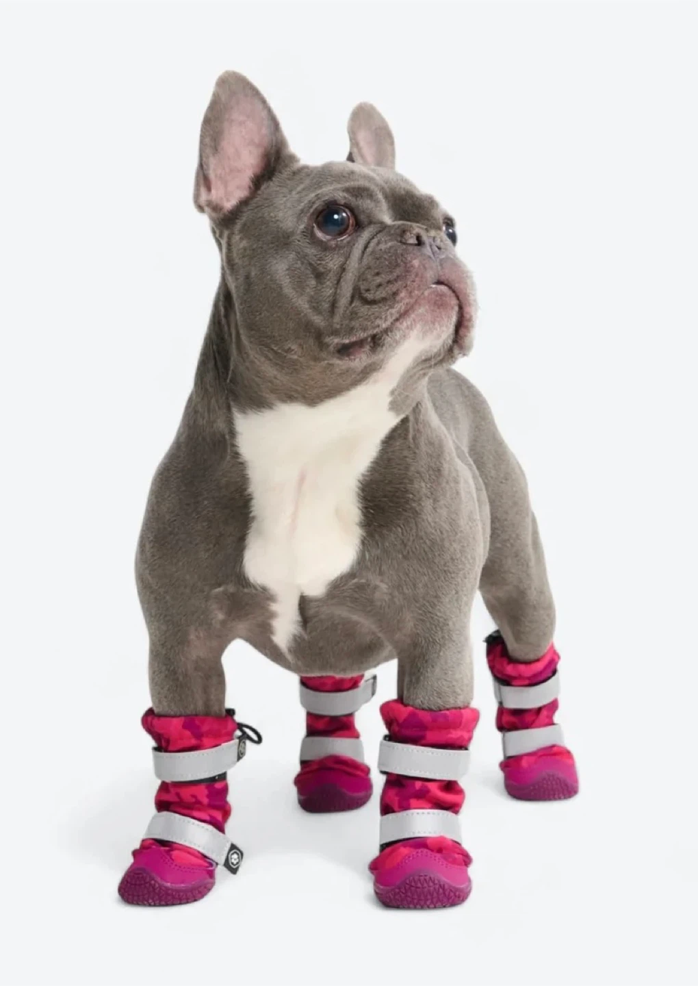 Spark Paws Dog Boots - Pink Camo-size 5 - photo 5