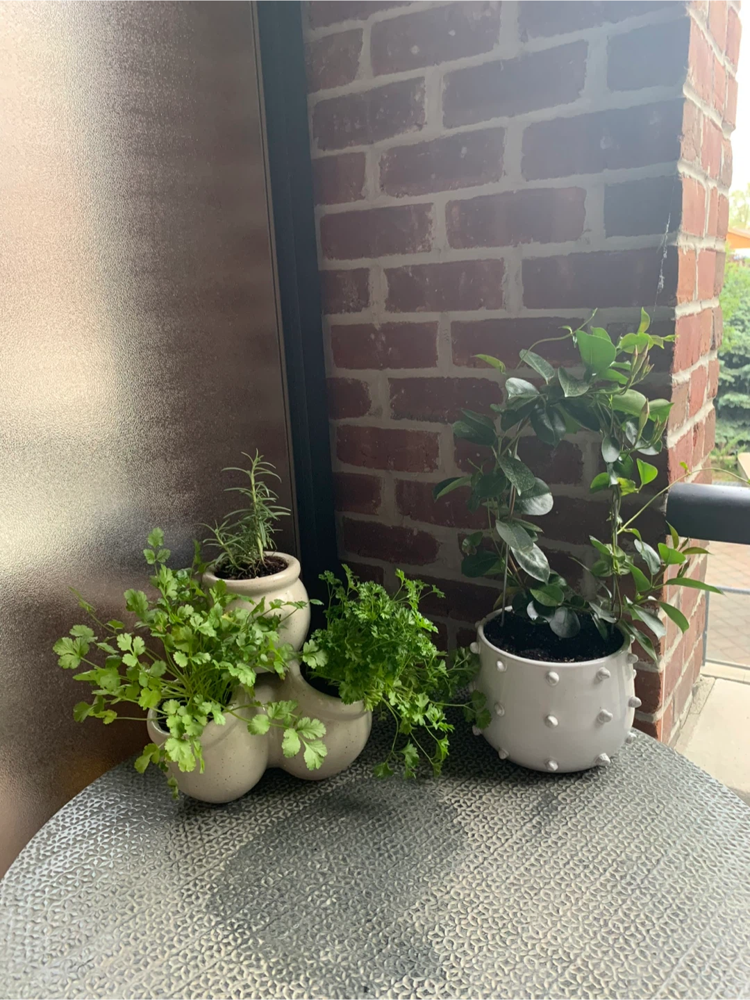 Ceramic Herb Pot - photo 2