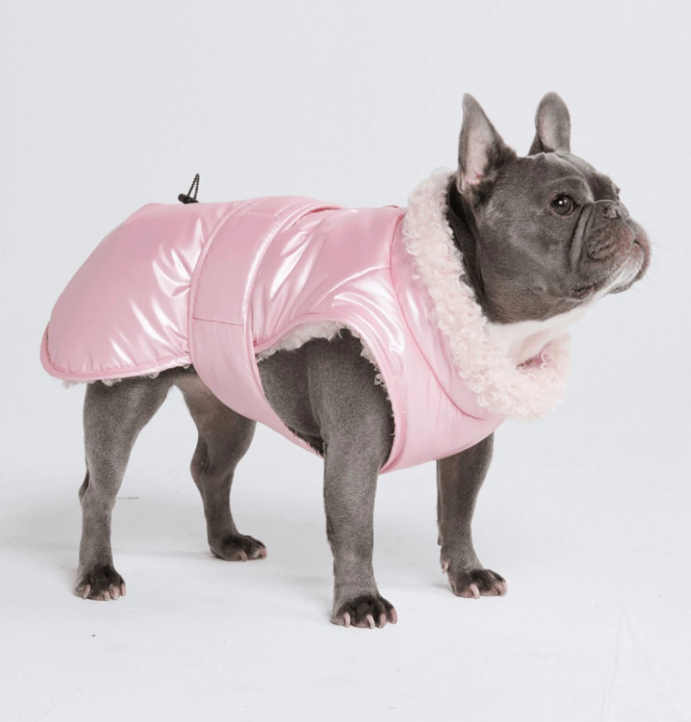 Spark Paws Pink Puffer Dog Coat with Sherpa Lining - photo 5