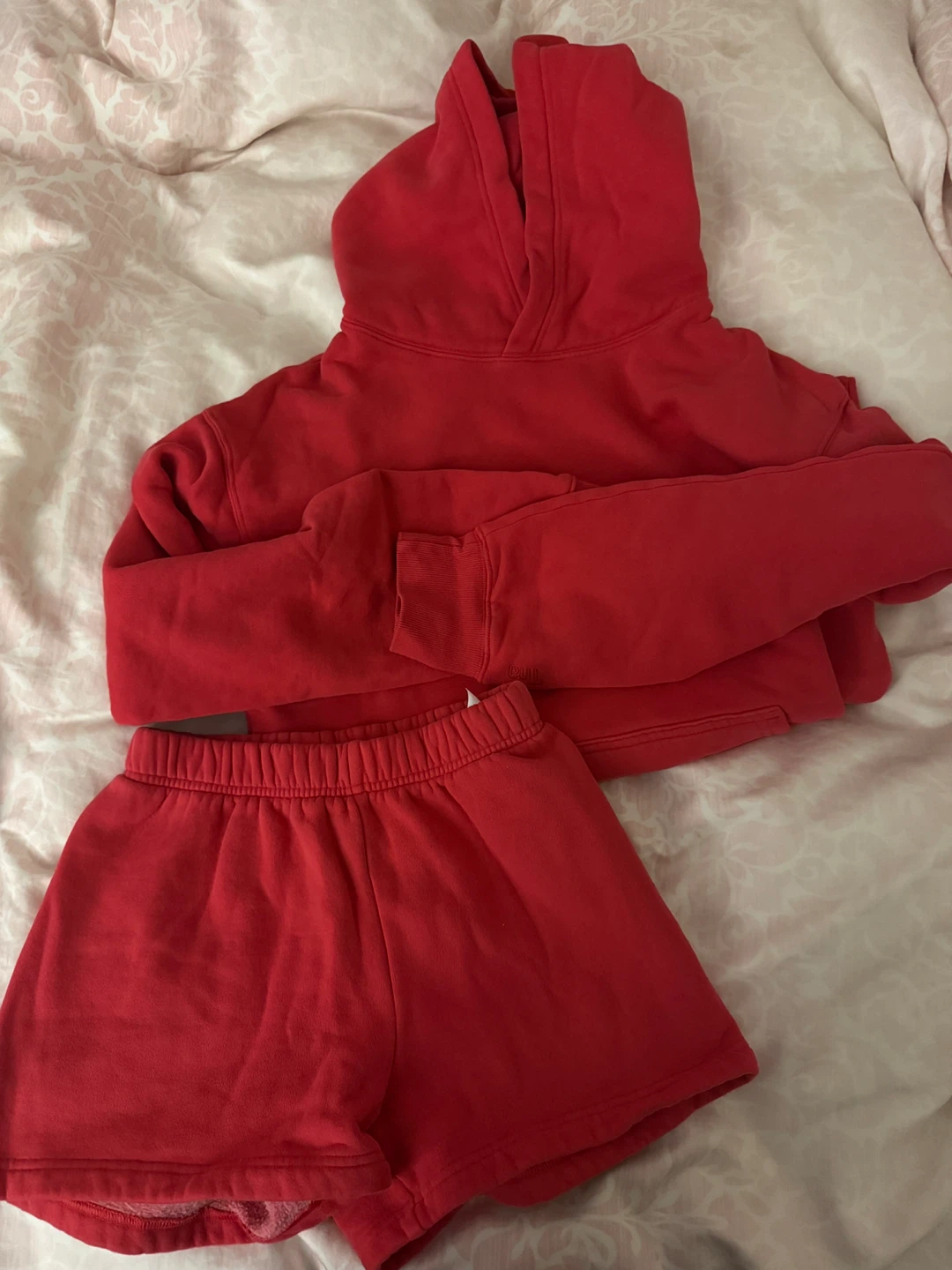 Aritzia Tna Cozy Fleece Hoodie and Shorts Set Size S and XXS