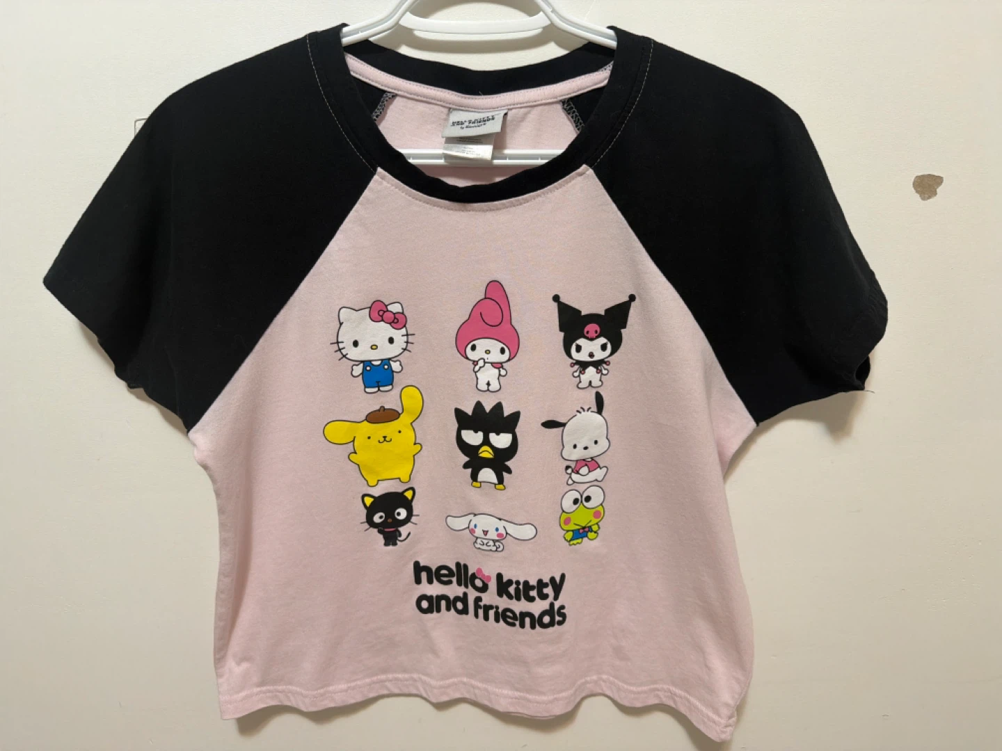 Hello Kitty and Friends T-Shirt