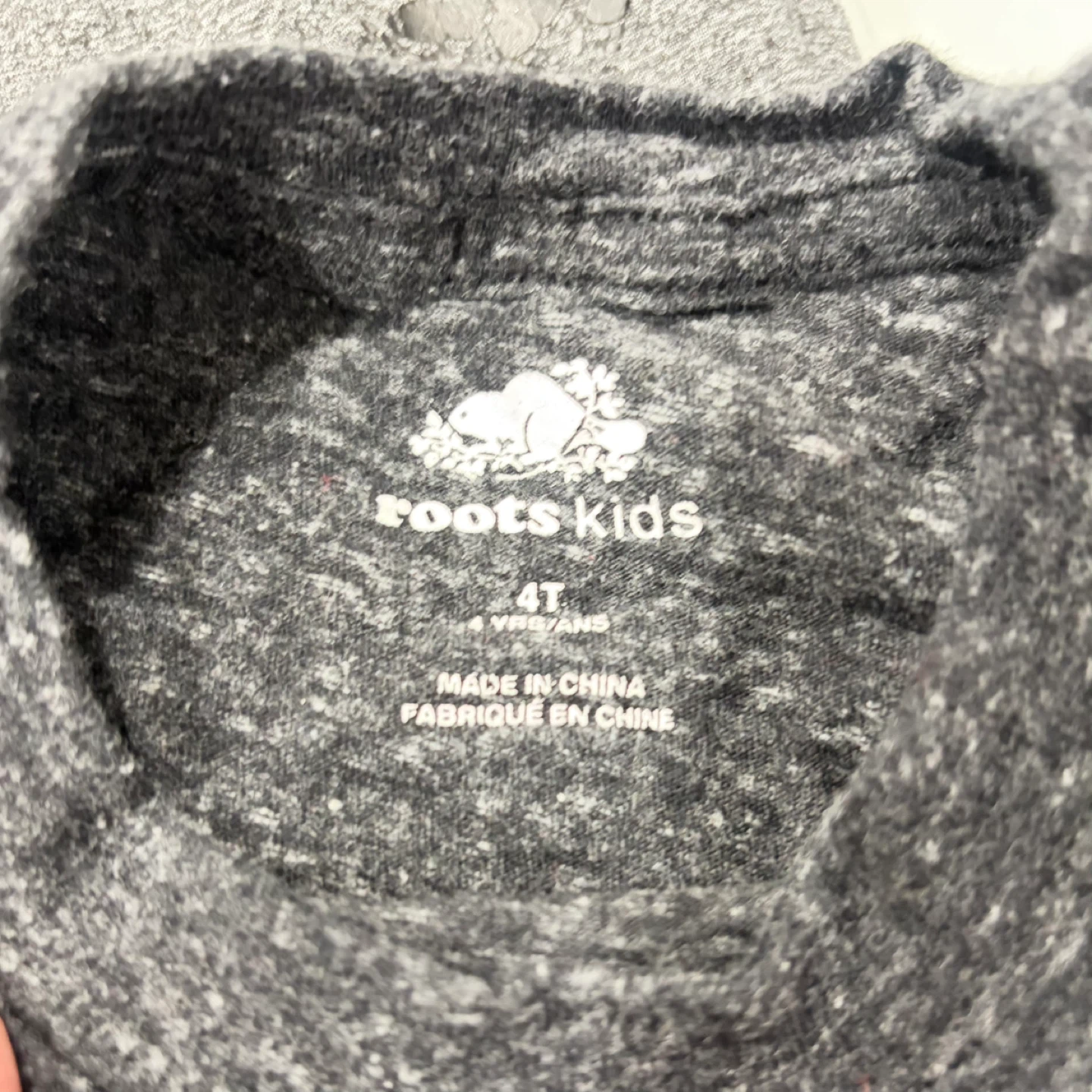 Roots Kids Grey T-Shirt and Sweatpants Set - Size 4T - photo 2
