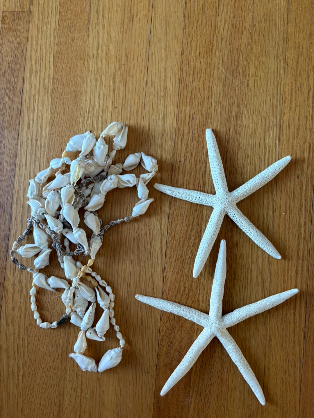 Handmade Seashell Necklace and Starfish Decor