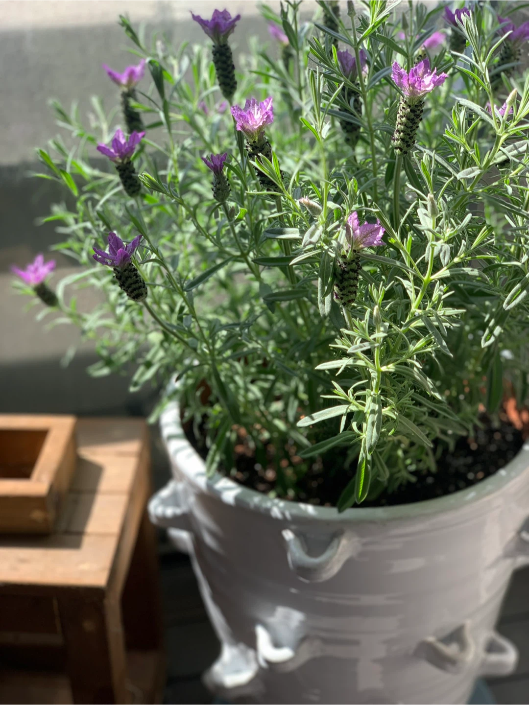 Large White Ceramic Planter - photo 3