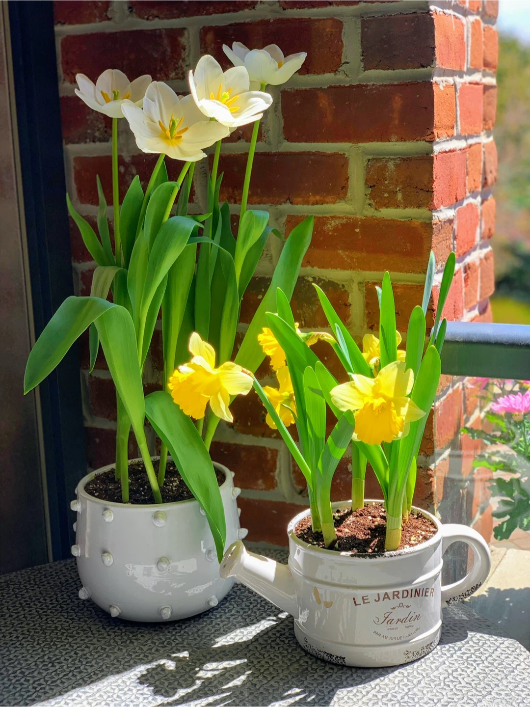 White Ceramic Planter