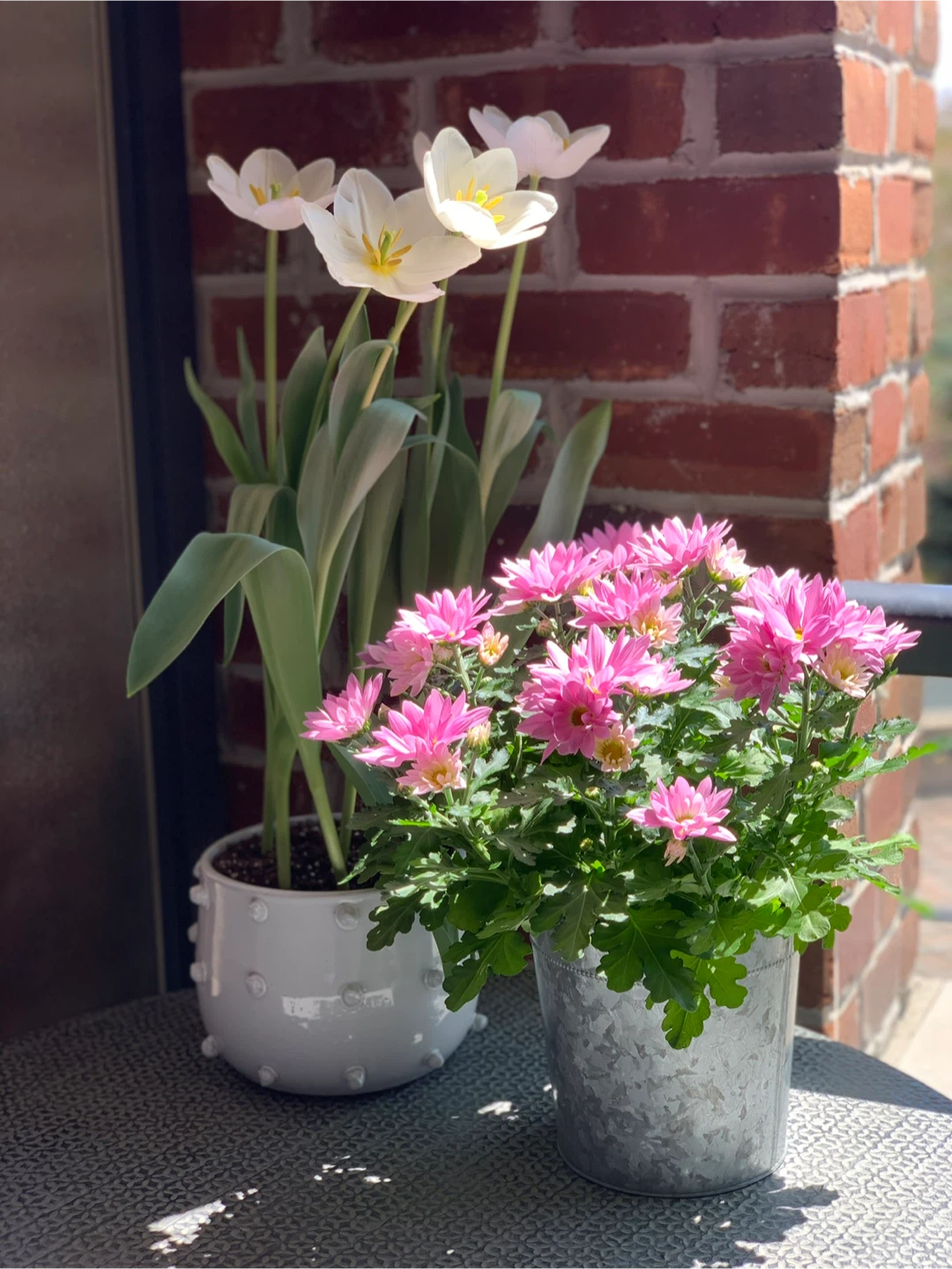 White Ceramic Planter - photo 5