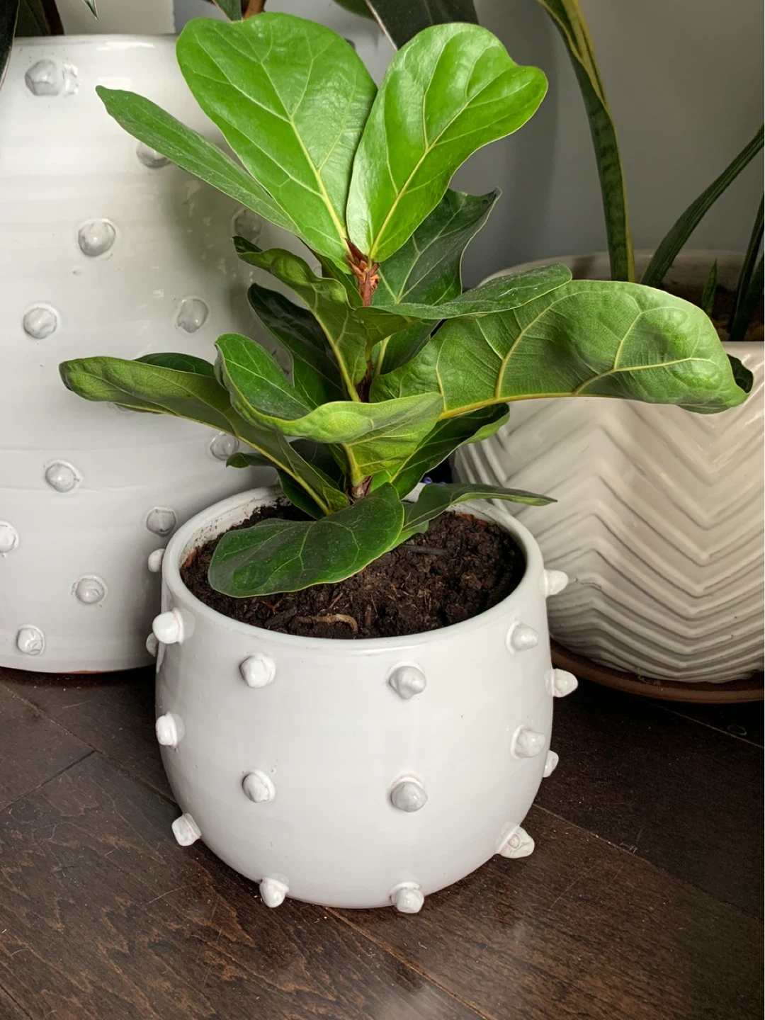 White Ceramic Planter - photo 4