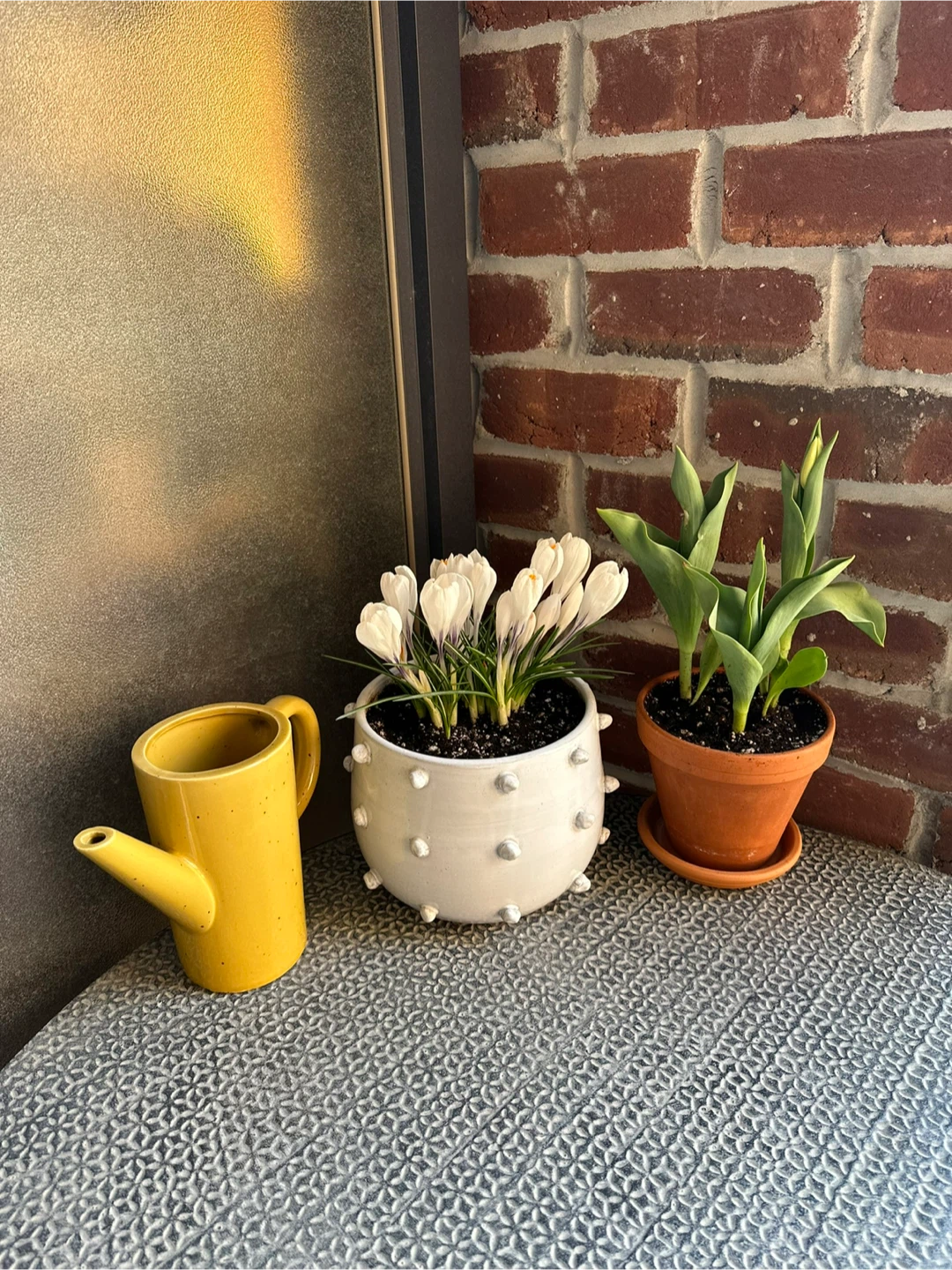 White Ceramic Planter - photo 3