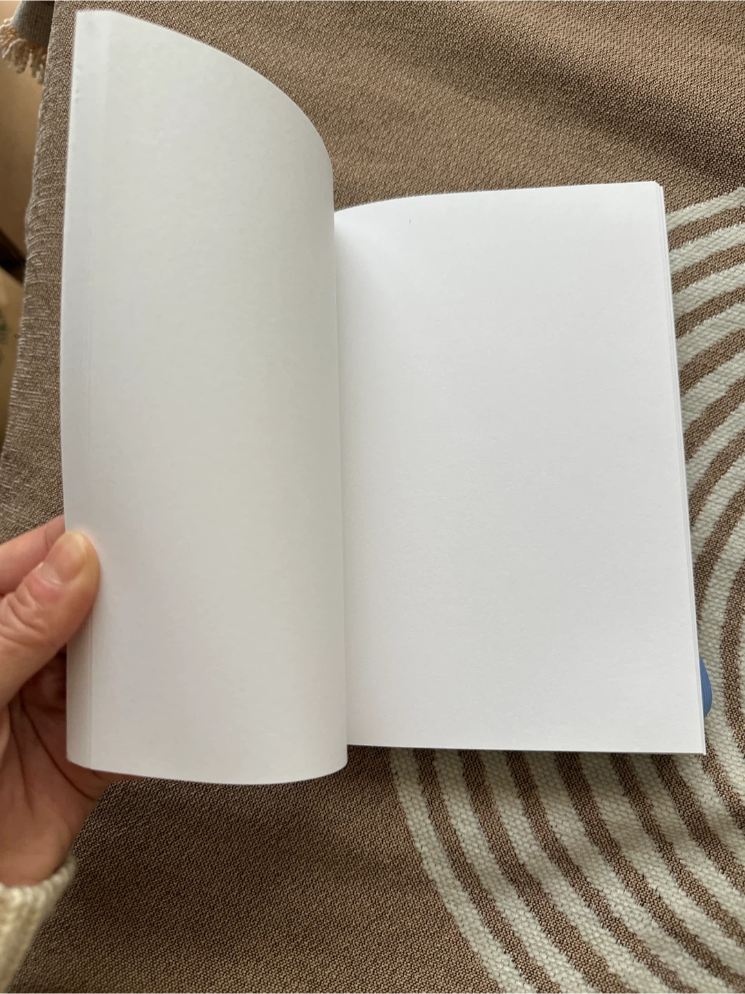 Anne Saxelby Legacy Fund Notebook - photo 2
