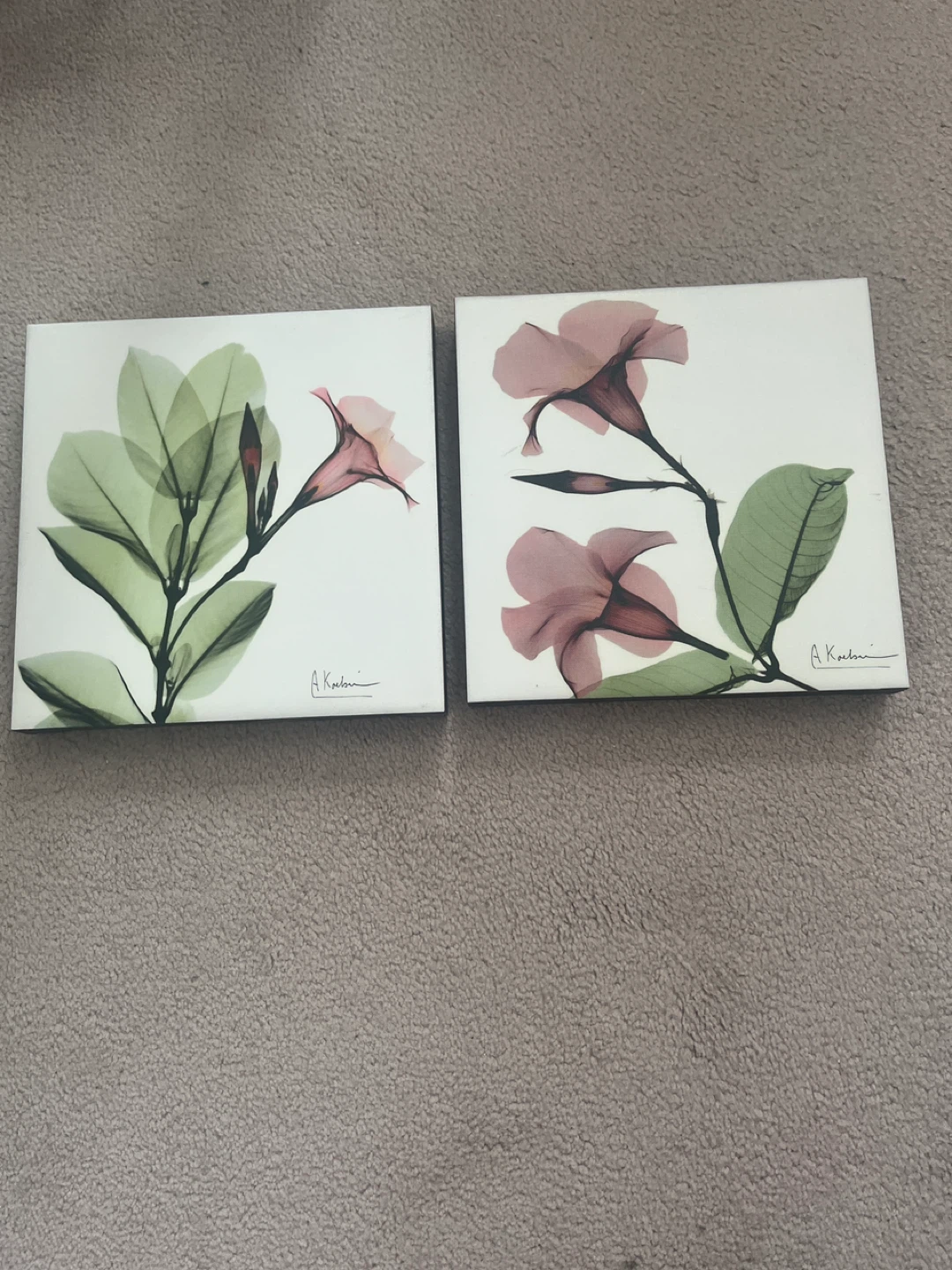 Canvas pictures