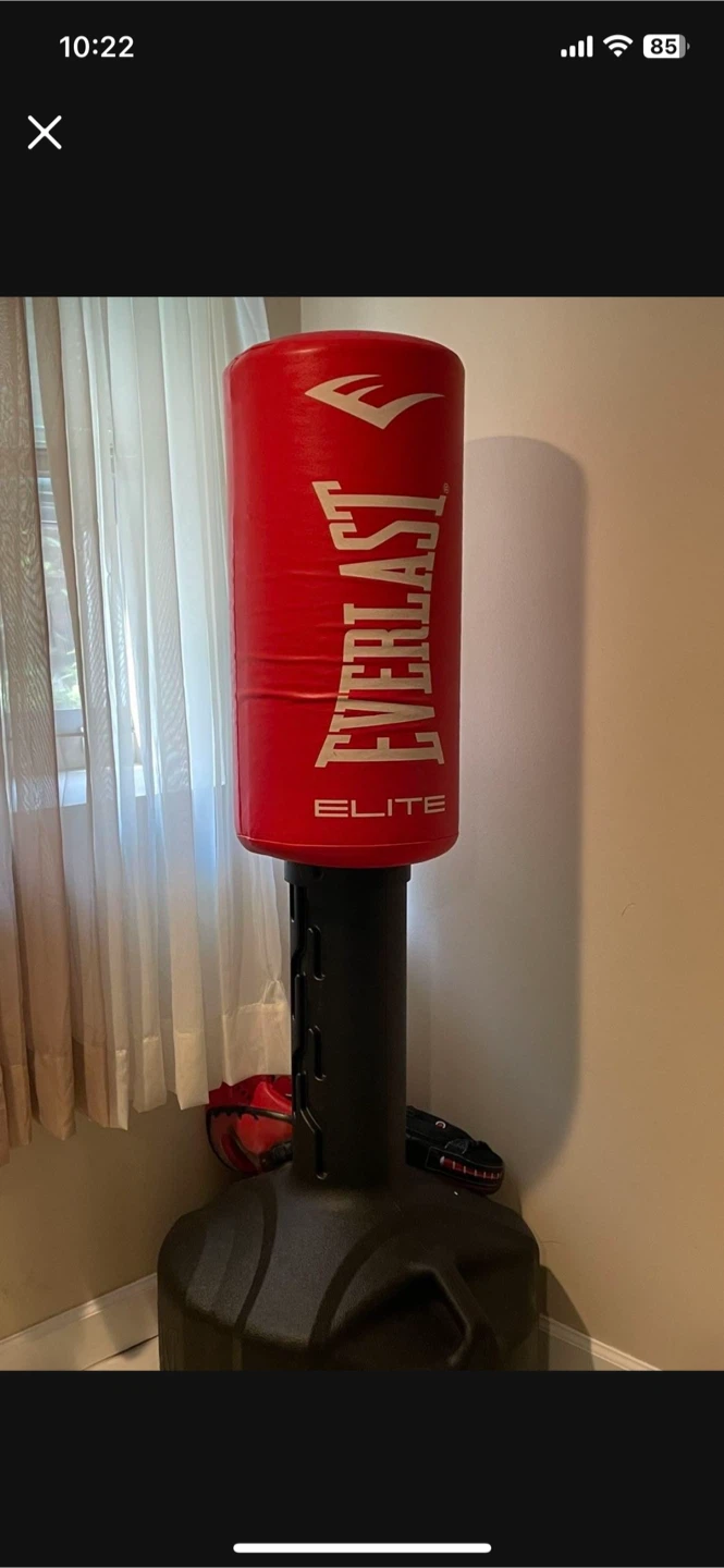 Everlast Elite Red Punching Bag