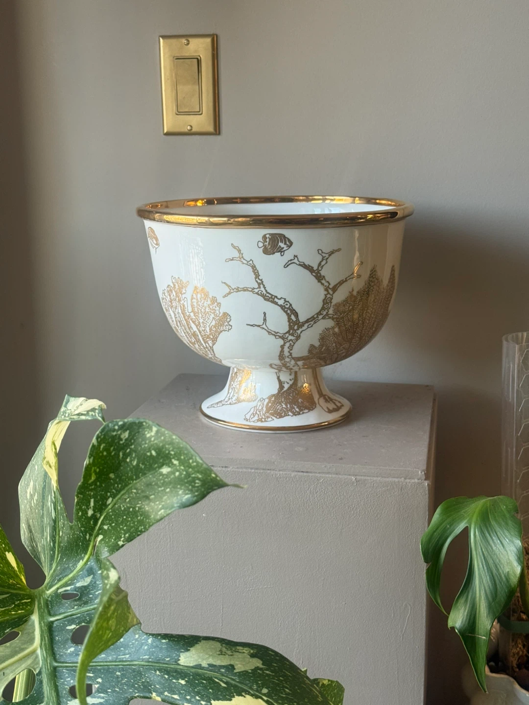 Jonathan Adler Large Botanist Coral pedstal bowl - photo 2