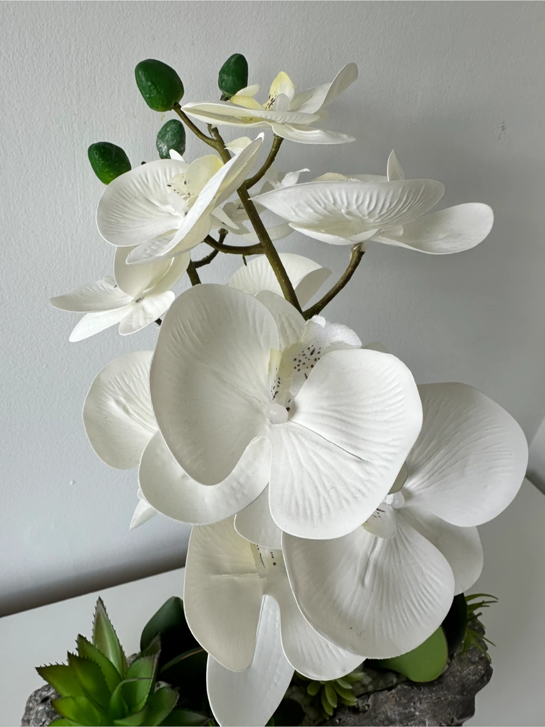 White Artificial Orchid Arrangement with Succulents - photo 2