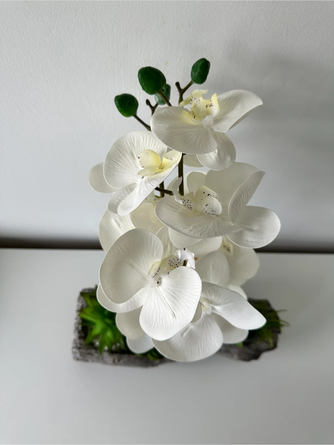 White Artificial Orchid Arrangement with Succulents - photo 5