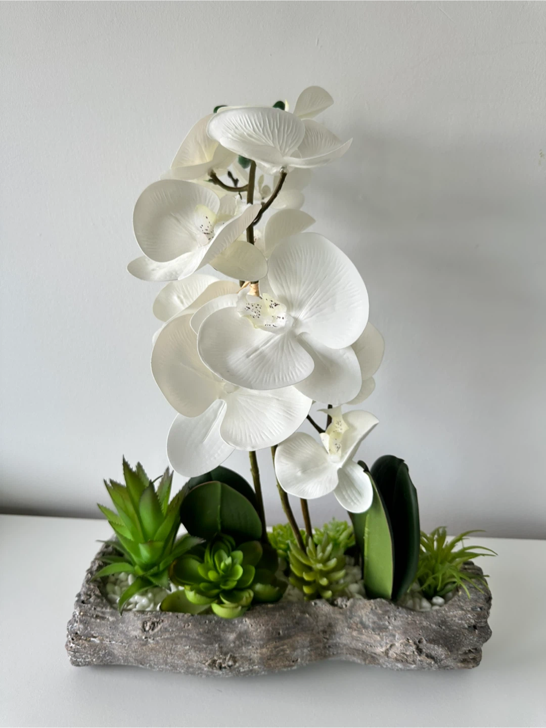 White Artificial Orchid Arrangement with Succulents