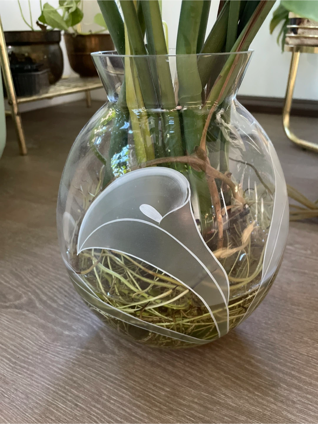Monstera Plant in Decorative Glass Vase - photo 3