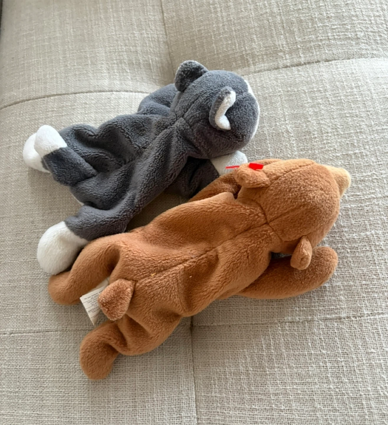 Ty Beanie Babies Bear and Husky - photo 2