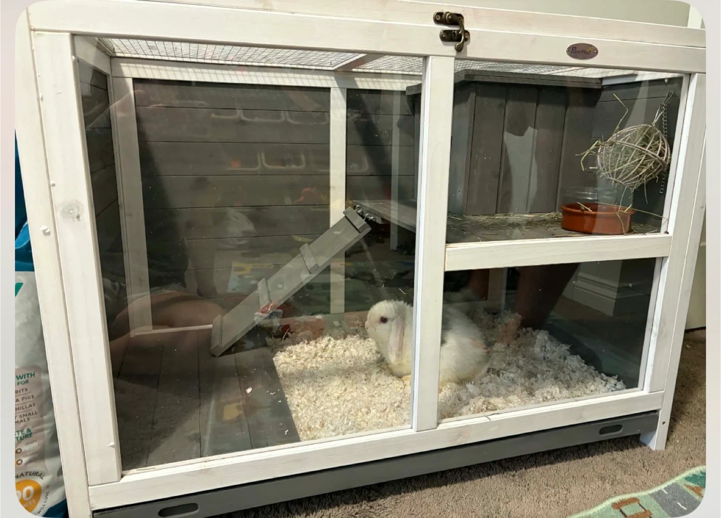 Wooden Pet Hutch with Wheels