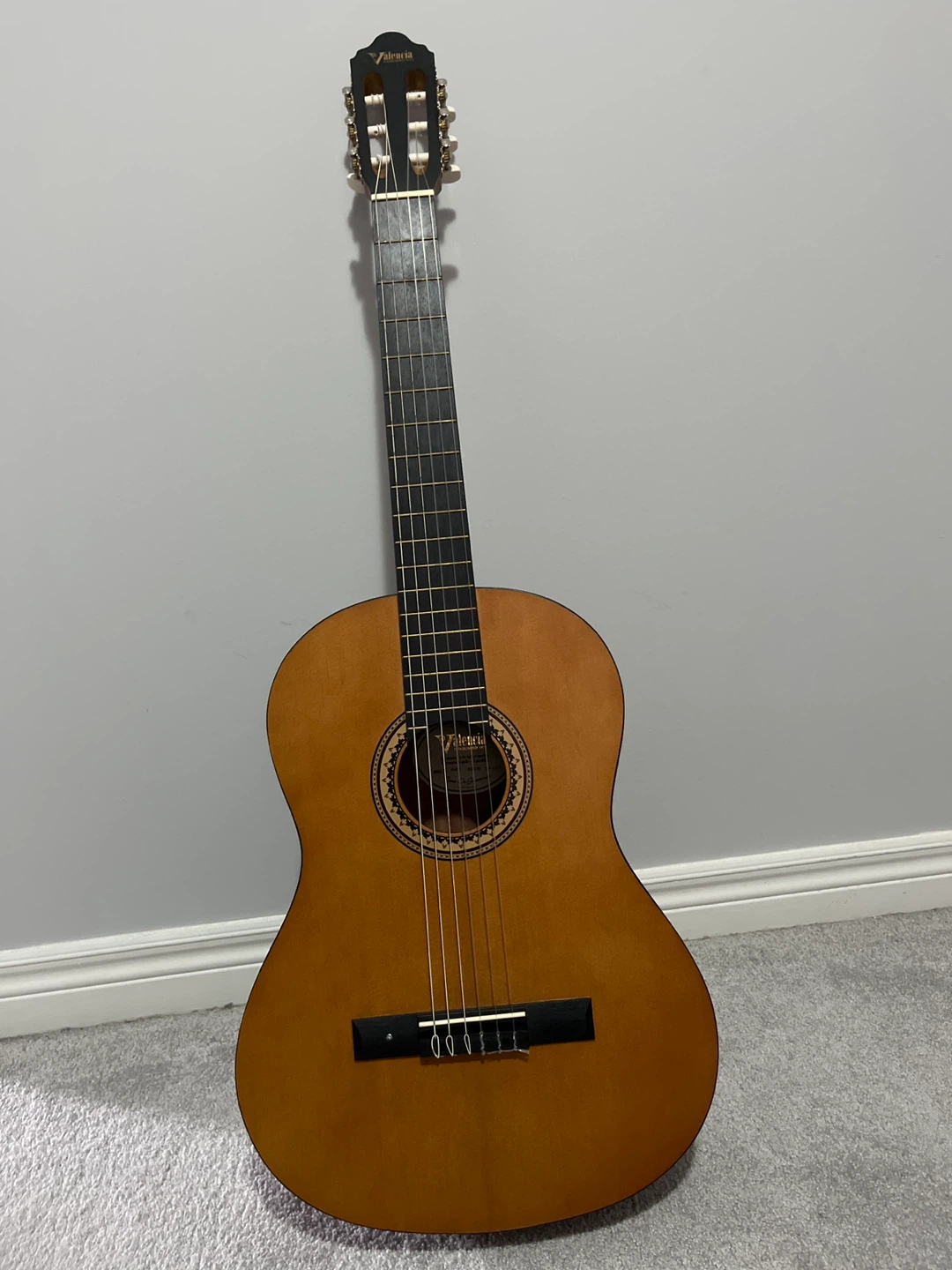 Valencia Classical Guitar 6 String with Gig Bag