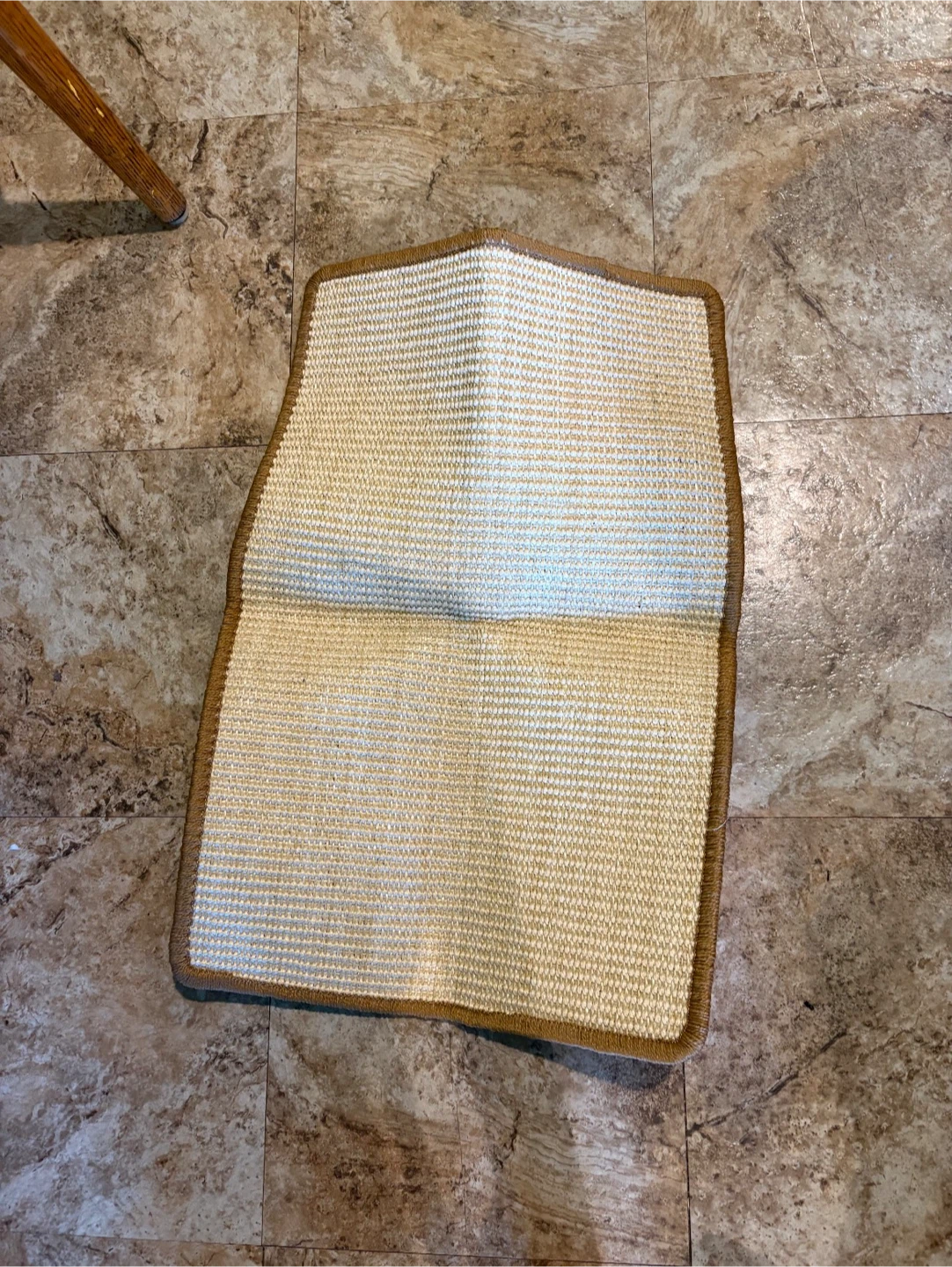 Cardboard Cat Scratcher Lounge