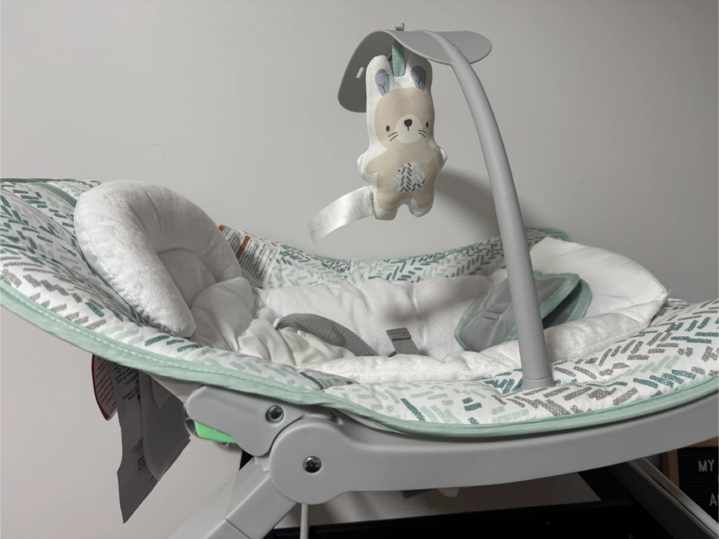 Fisher-Price Infant-to-Toddler Rocker