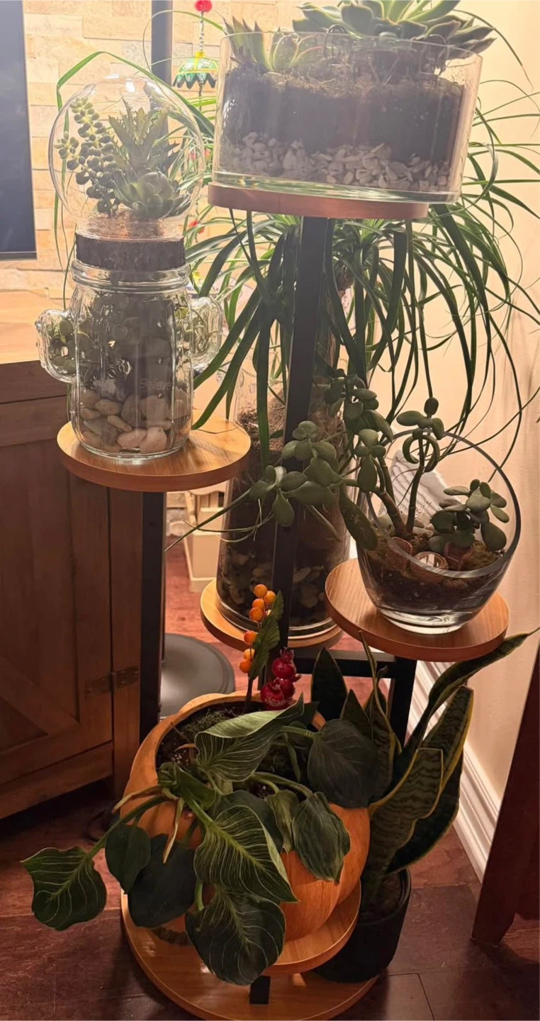 STLOVe 6 Tier Plant Stand (2 for $70) - photo 3