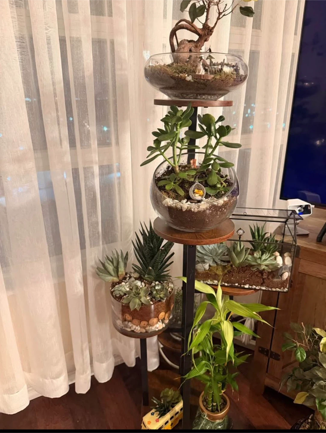 STLOVe 6 Tier Plant Stand (2 for $70) - photo 2