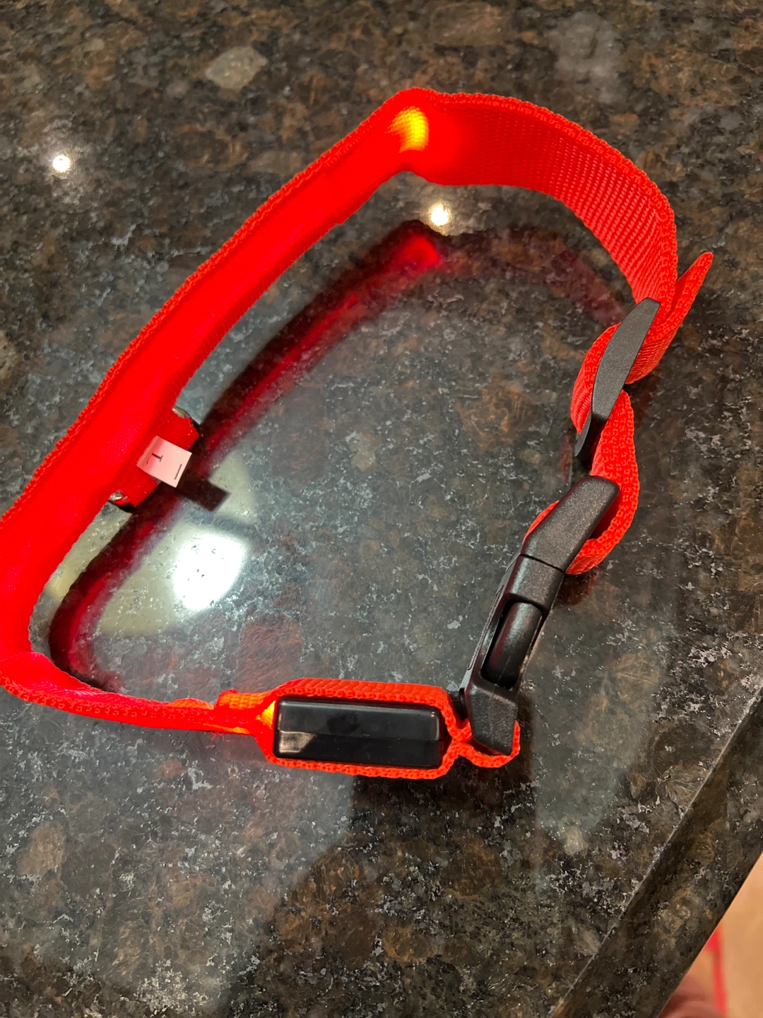 Red LED Dog Collar - photo 2