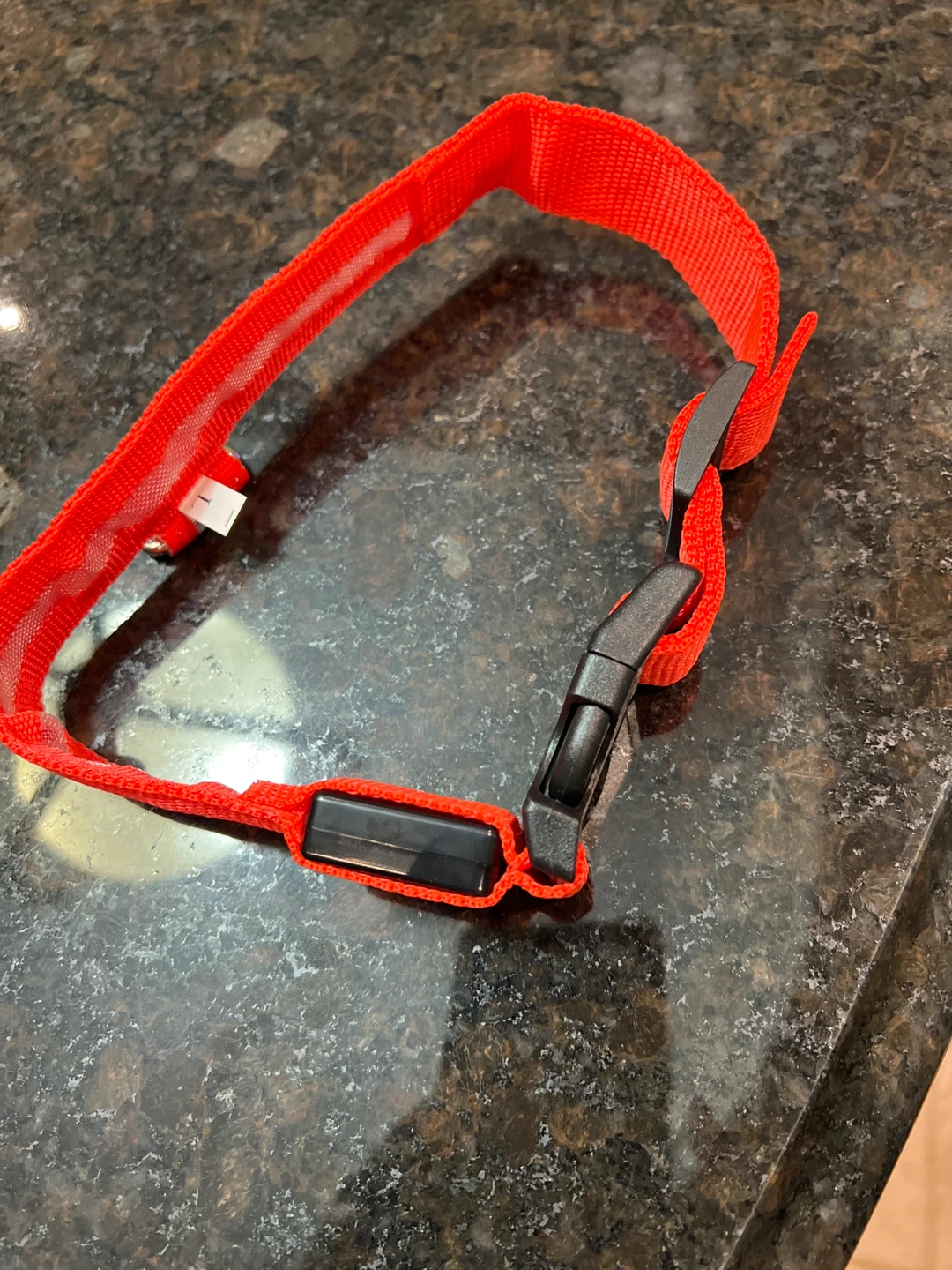 Red LED Dog Collar