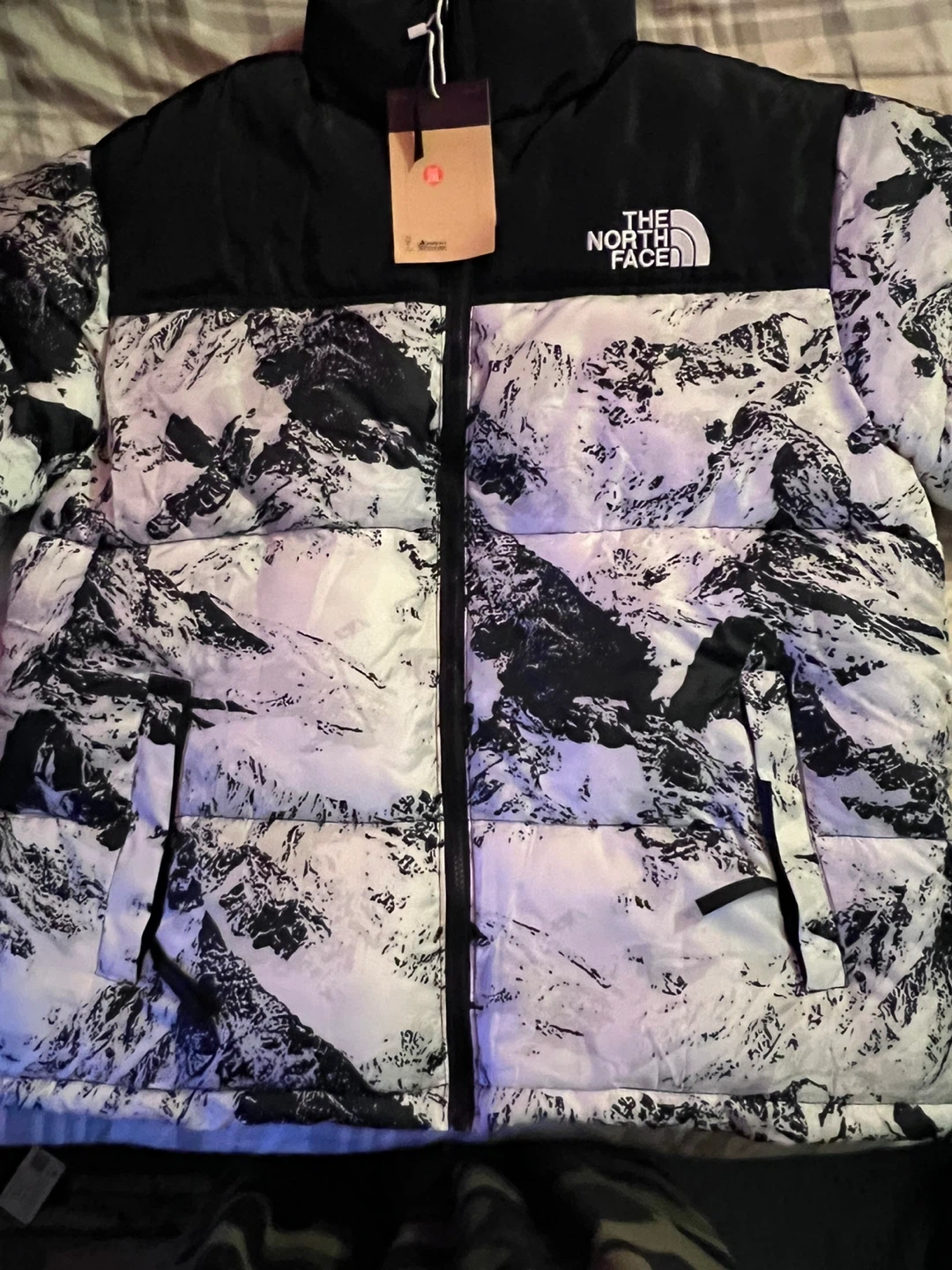The North Face 700 Puffer Jacket