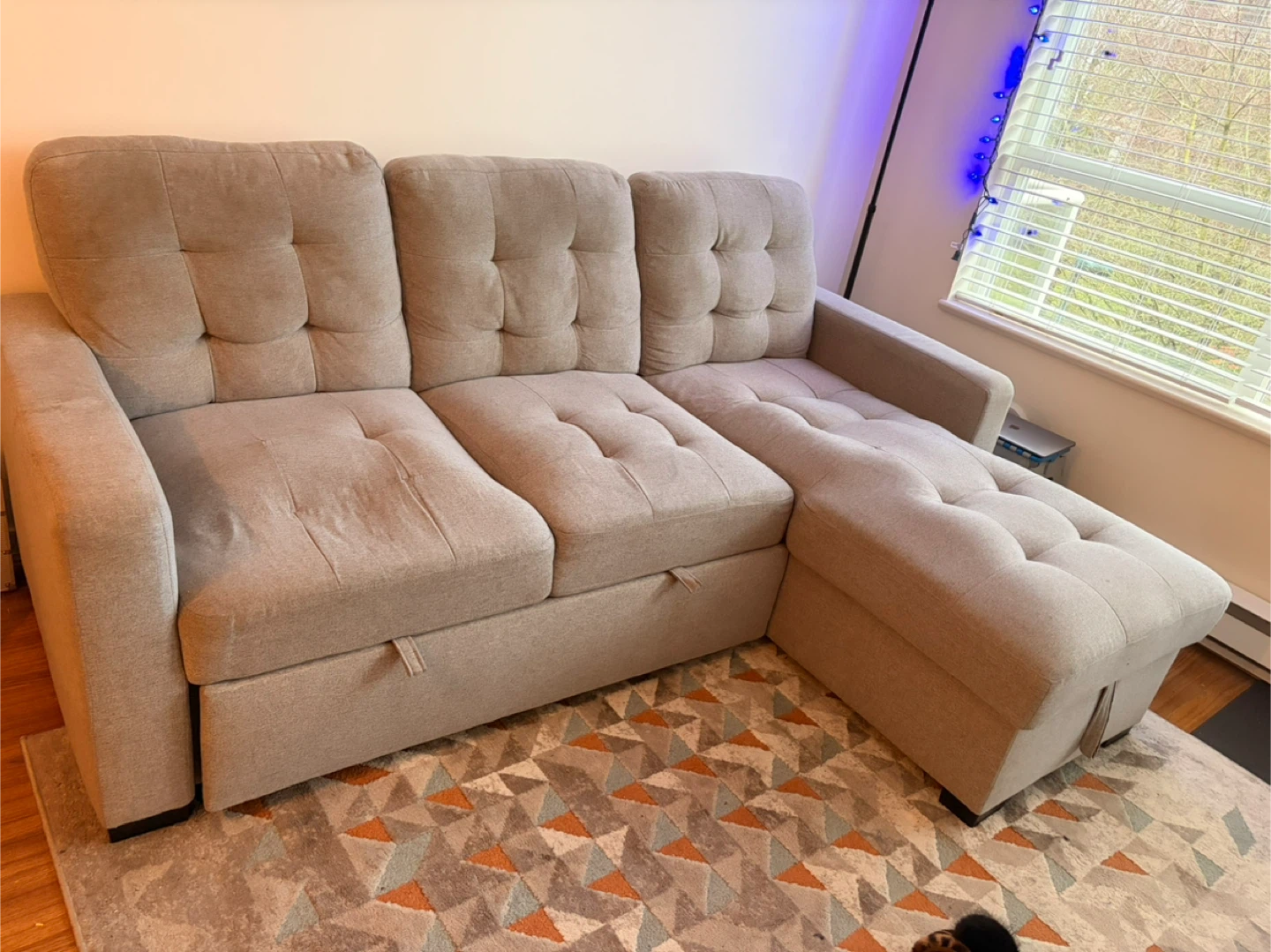 Sectional Sofa Bed with Storage Chaise - photo 3