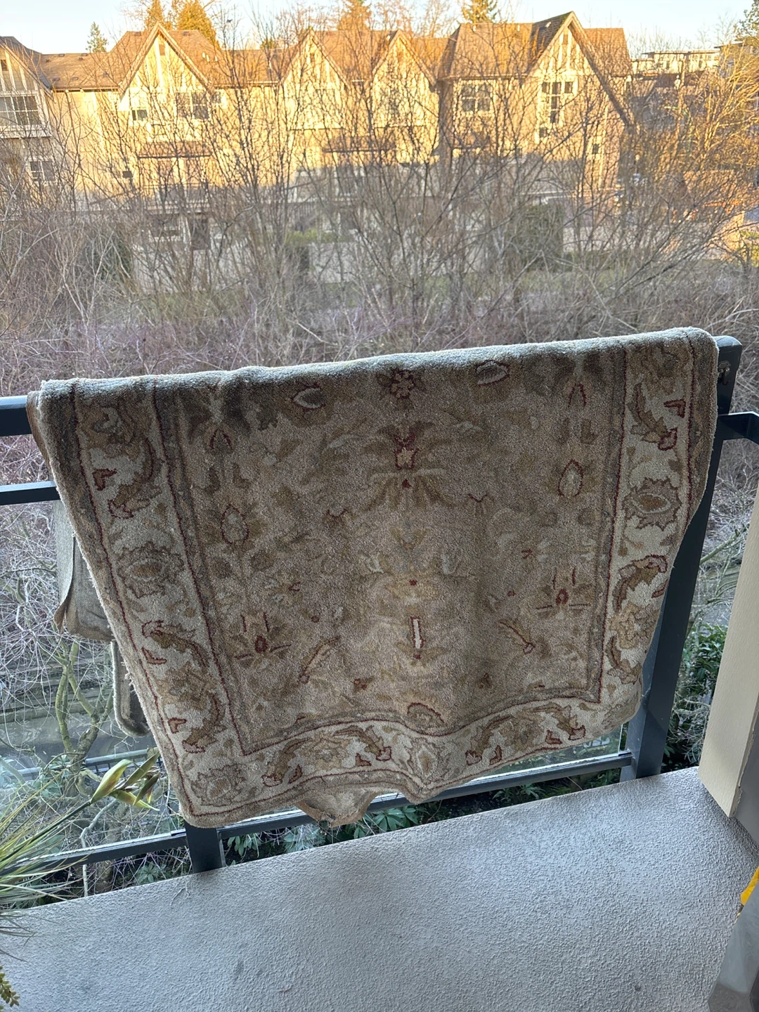 Persian-style Area Rug