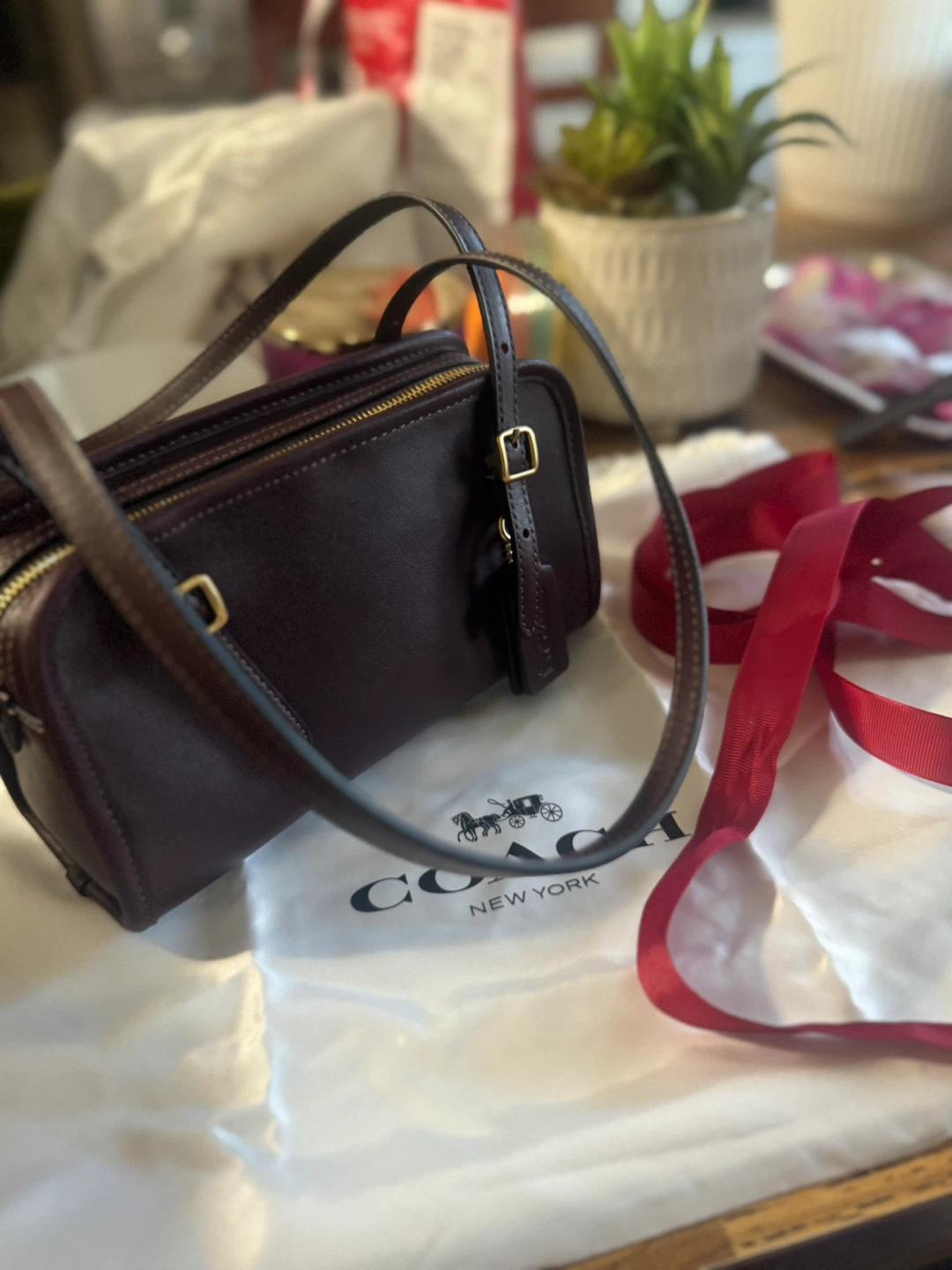 Coach Leather Swing Bag 20