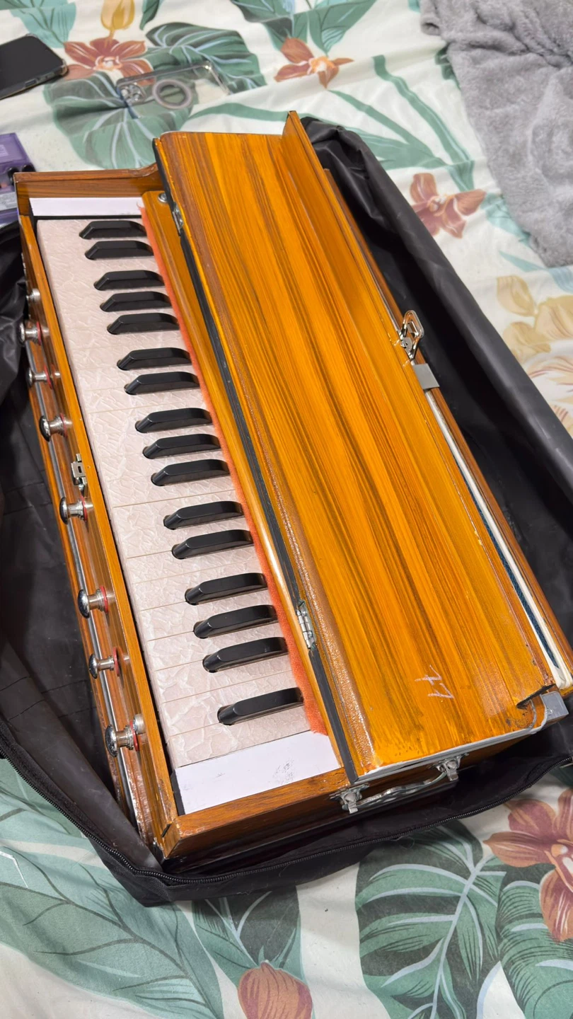 Harmonium with Case - photo 2