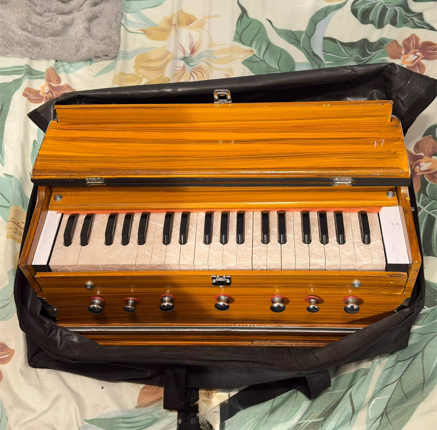 Harmonium with Case