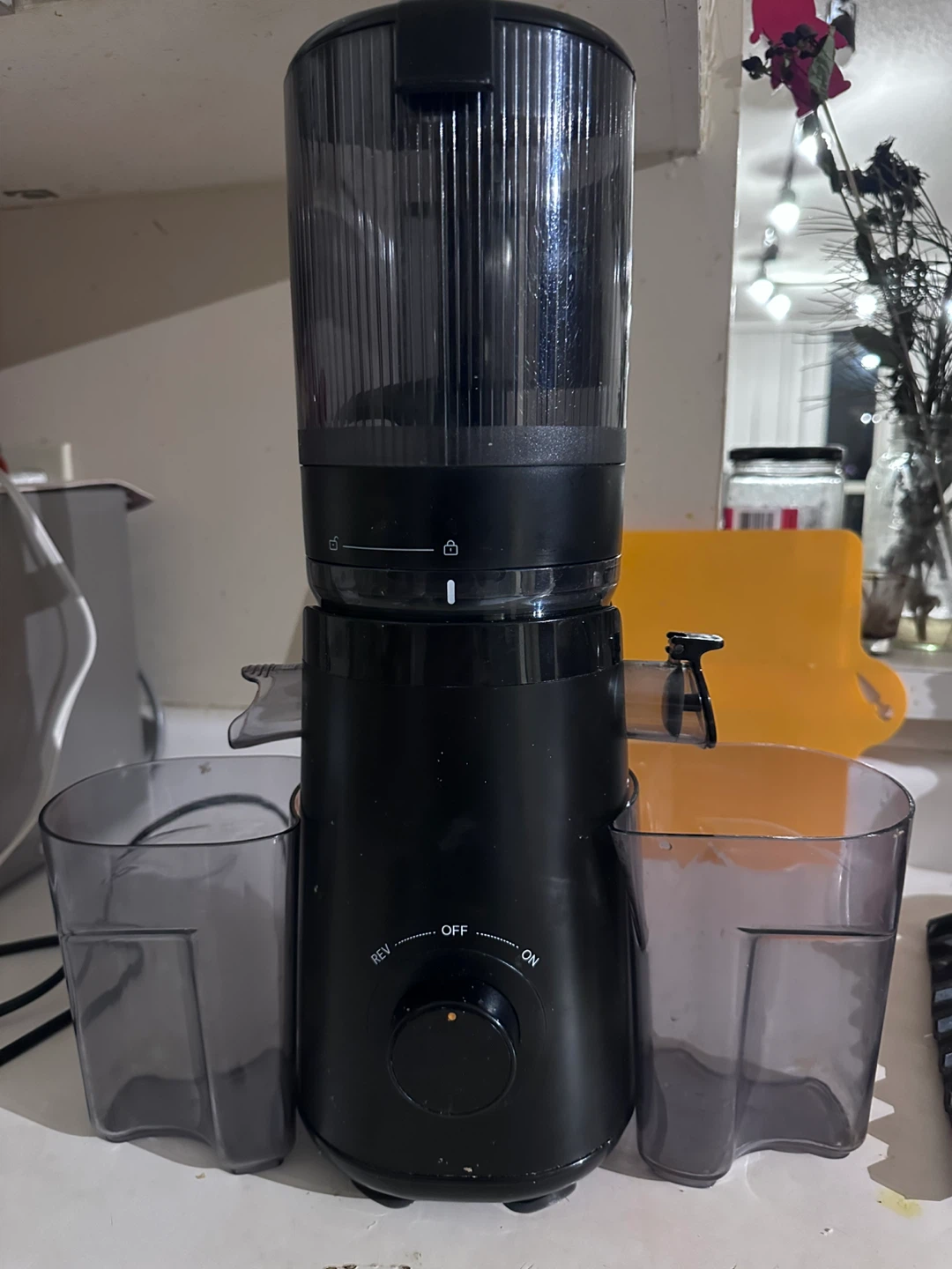 Slow press juicer used in summer